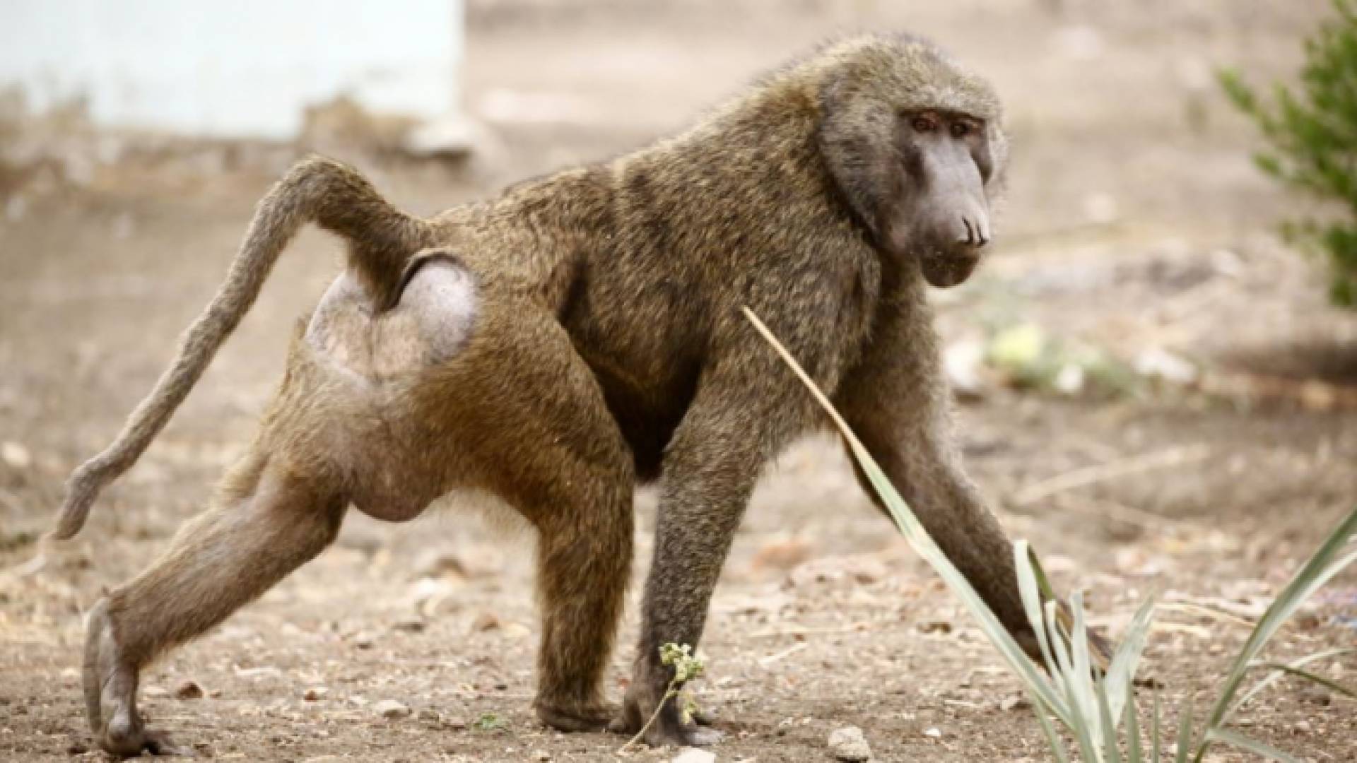 الصورة ارشيفية