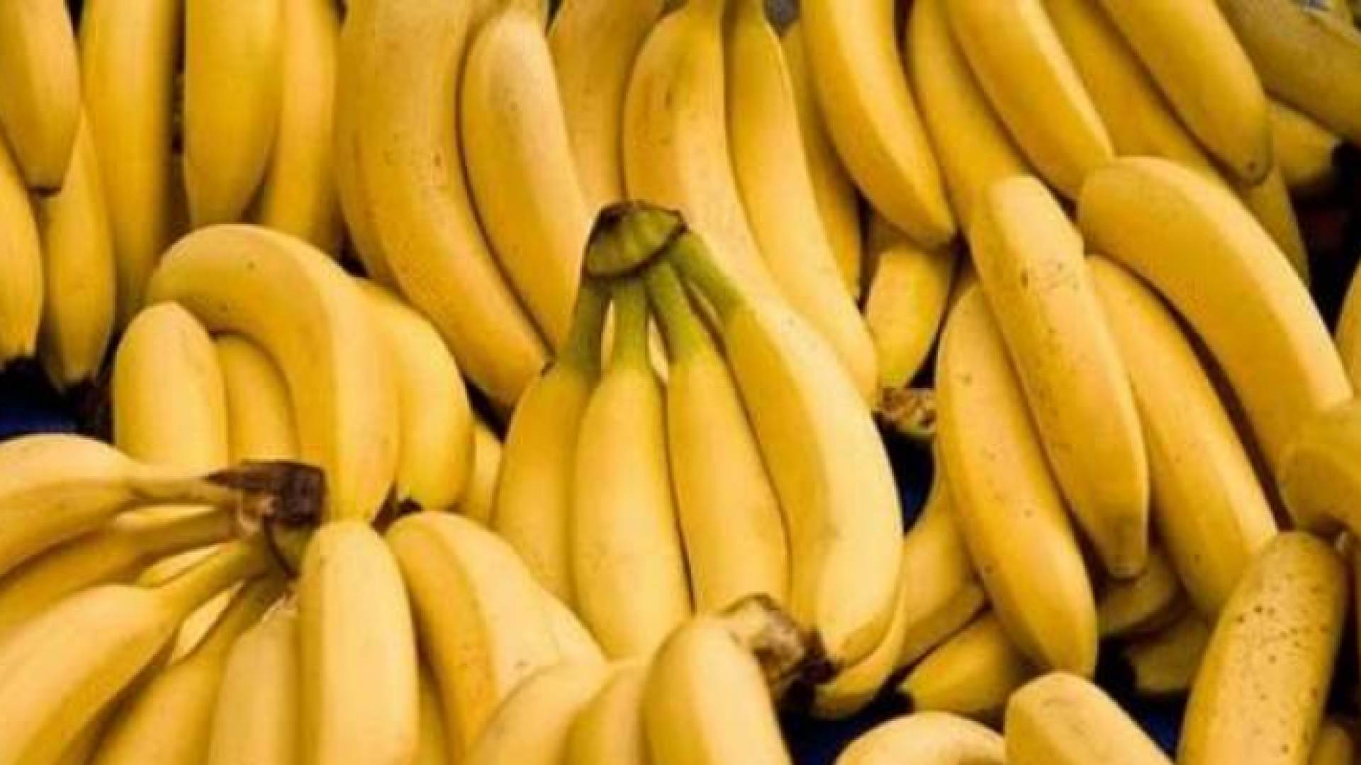 الصورة تعبيرية