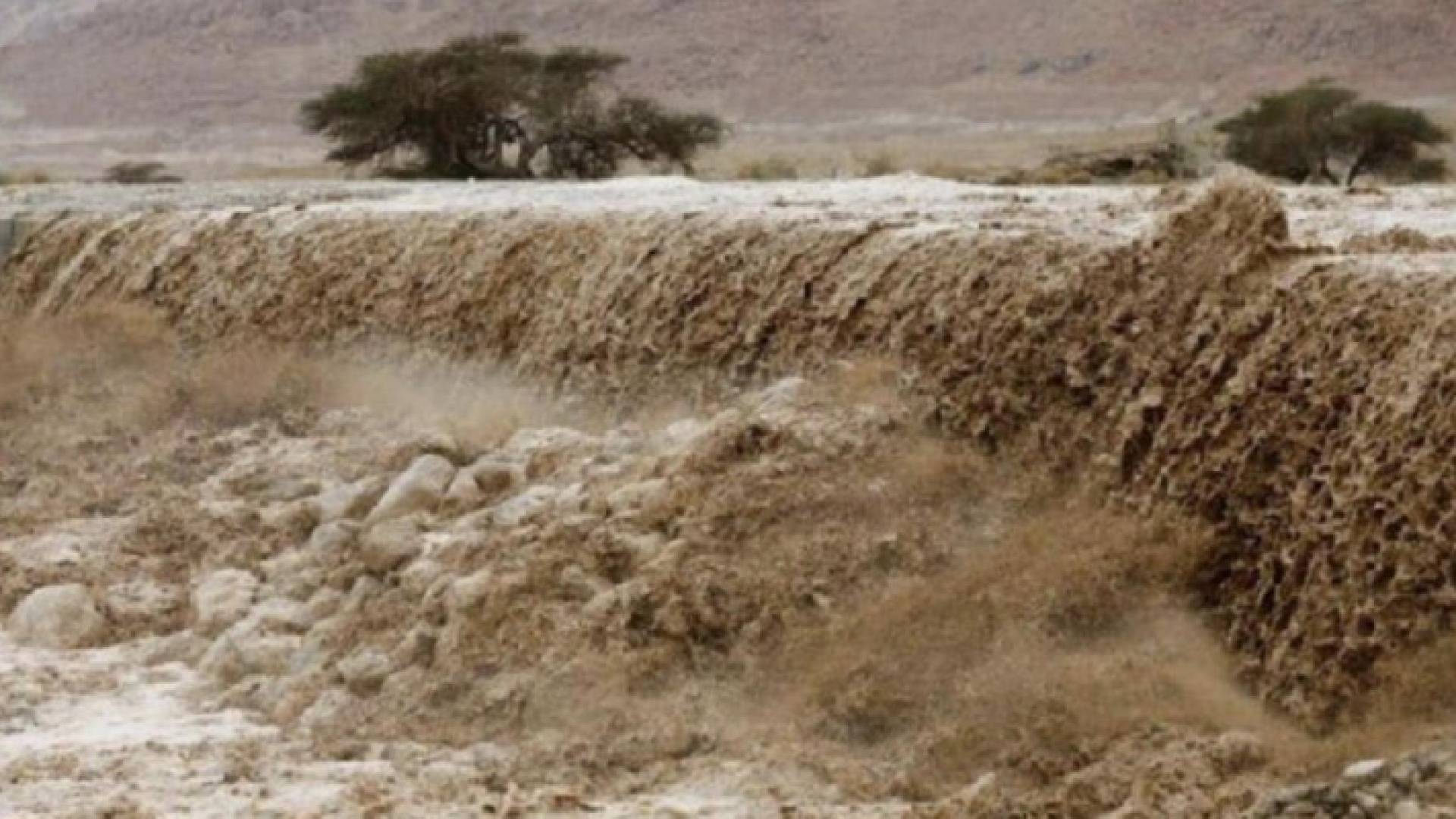 الصورة ارشيفية