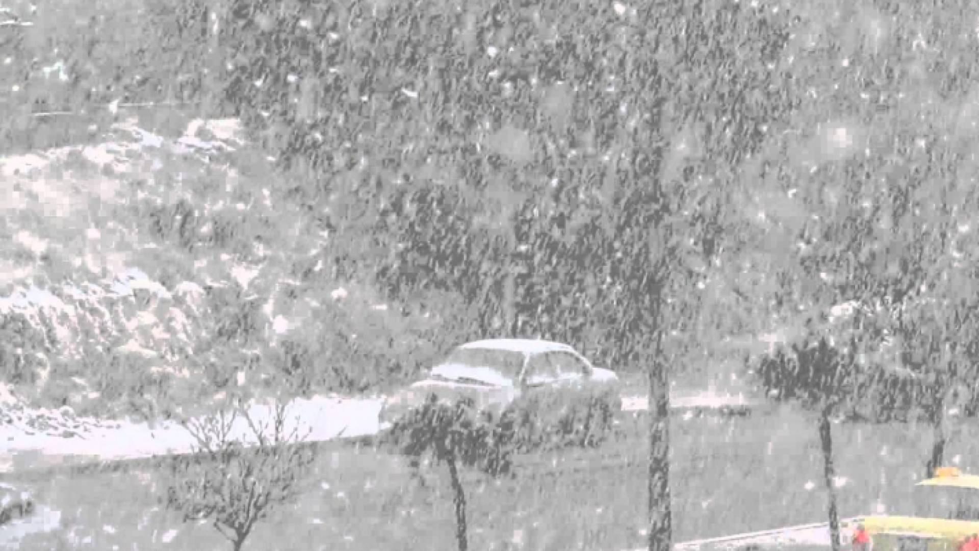 الصورة أرشيفية