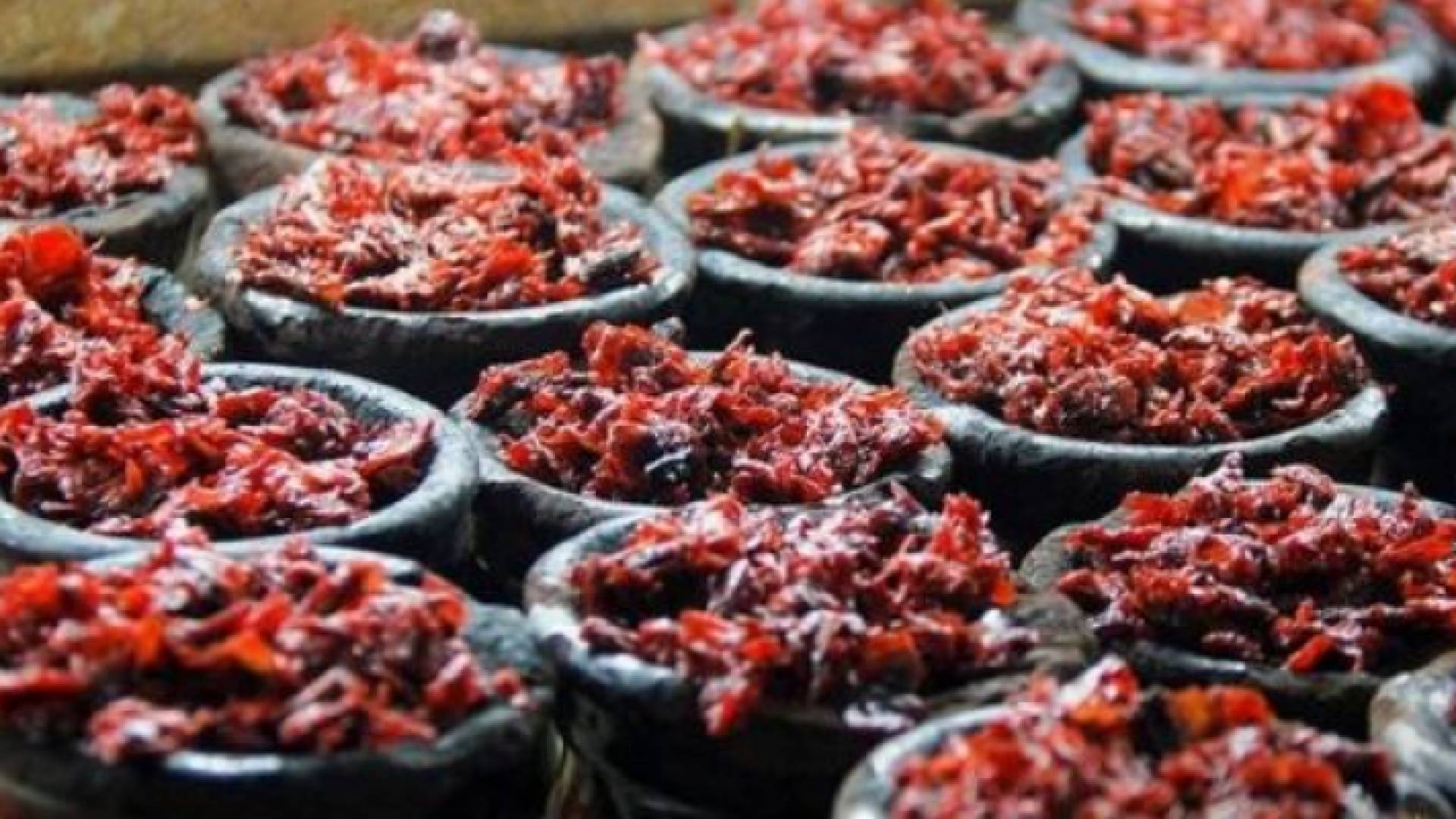 معسل - ارشيفية