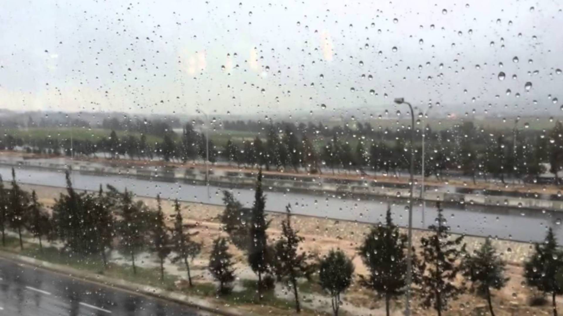 الصورة ارشيفية