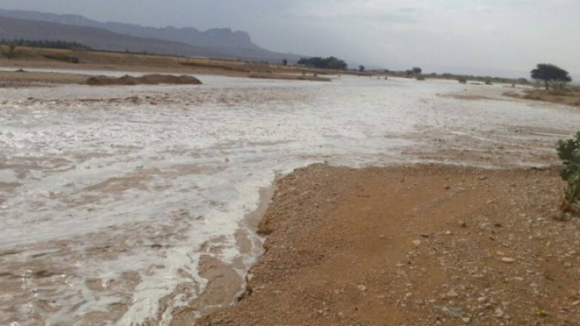 الصورة أرشيفية