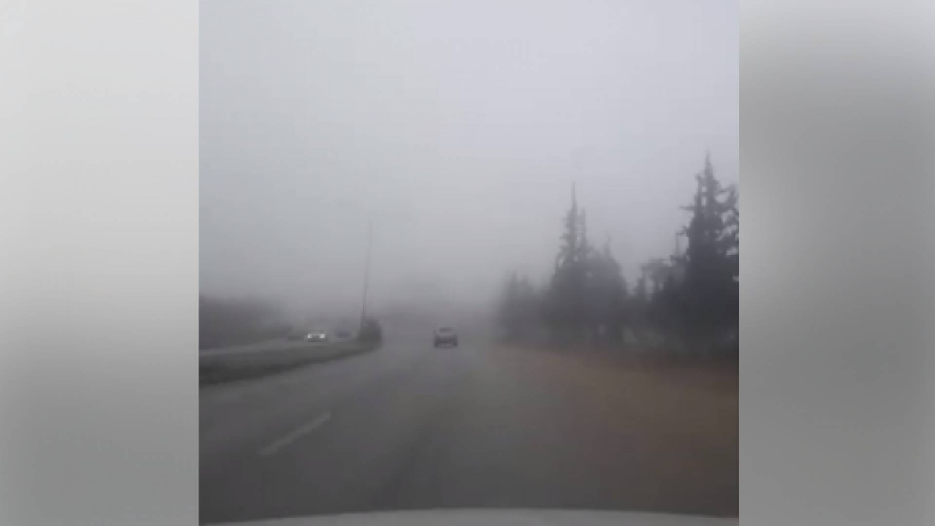 الضباب على طريق المطار