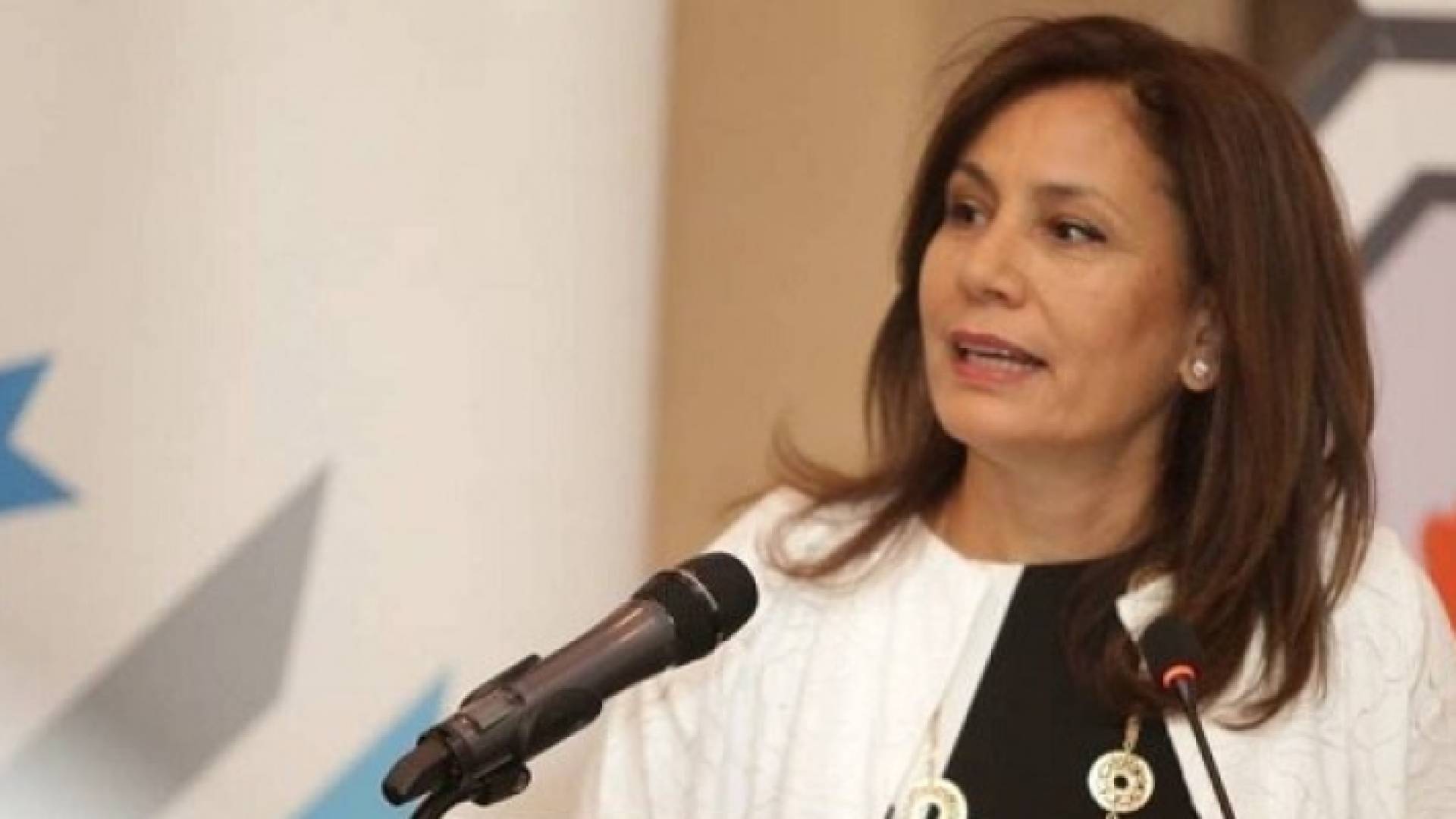 وزيرة الطاقة والثروة المعدنية المهندسة هالة زواتي