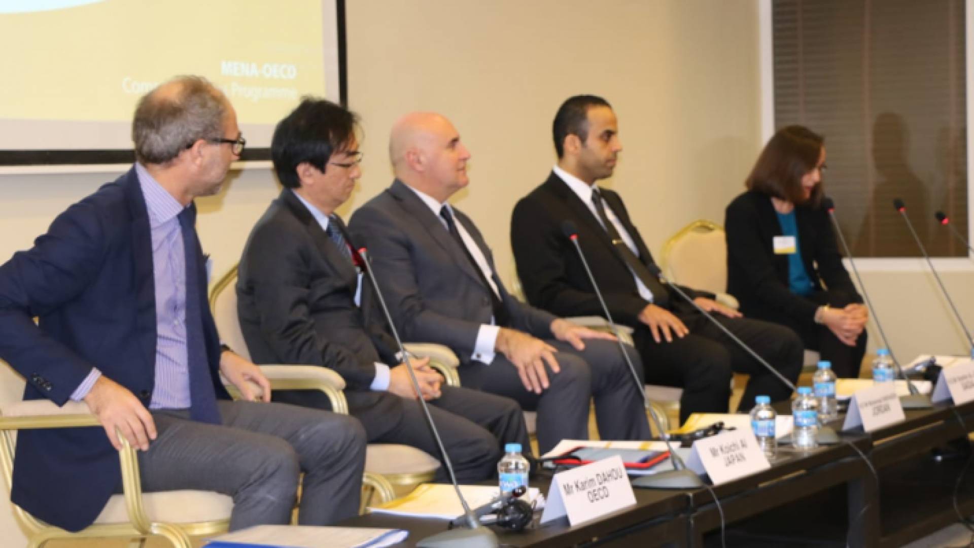 شحاده يفتتح أعمال الاجتماع السنوي لفريق عمل منظمة الاقتصاد والتعاون الدولية