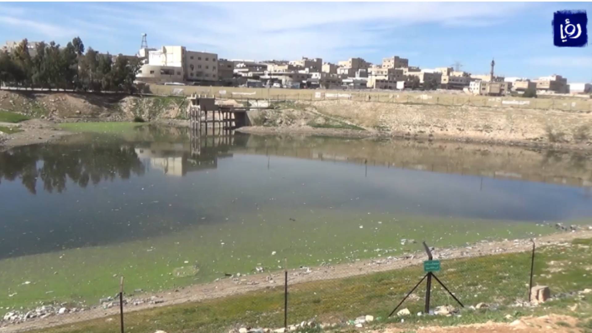 بركة البيبسي