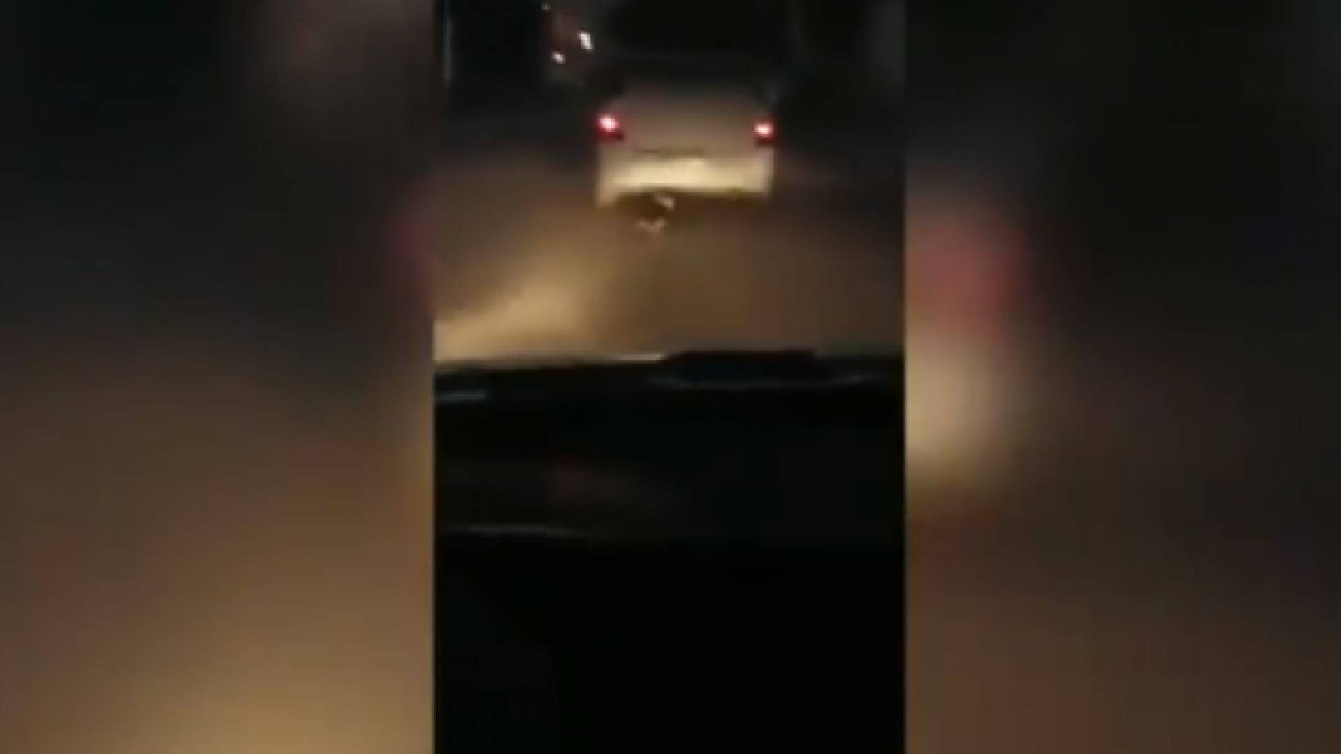 الأمن يضبط شخص قام بجر كلب بواسطة مركبته في محافظة الزرقاء