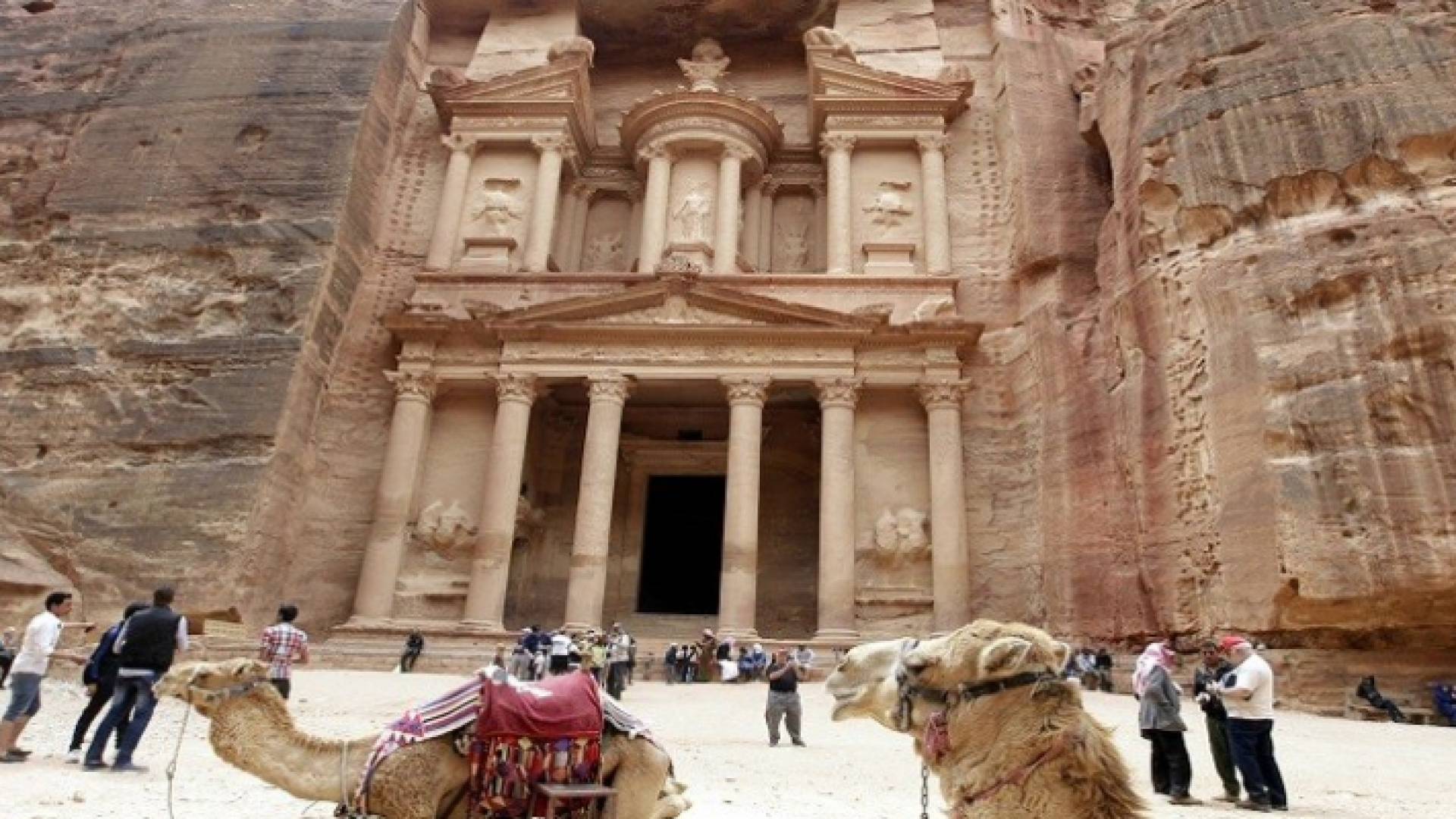 ارشيفية
