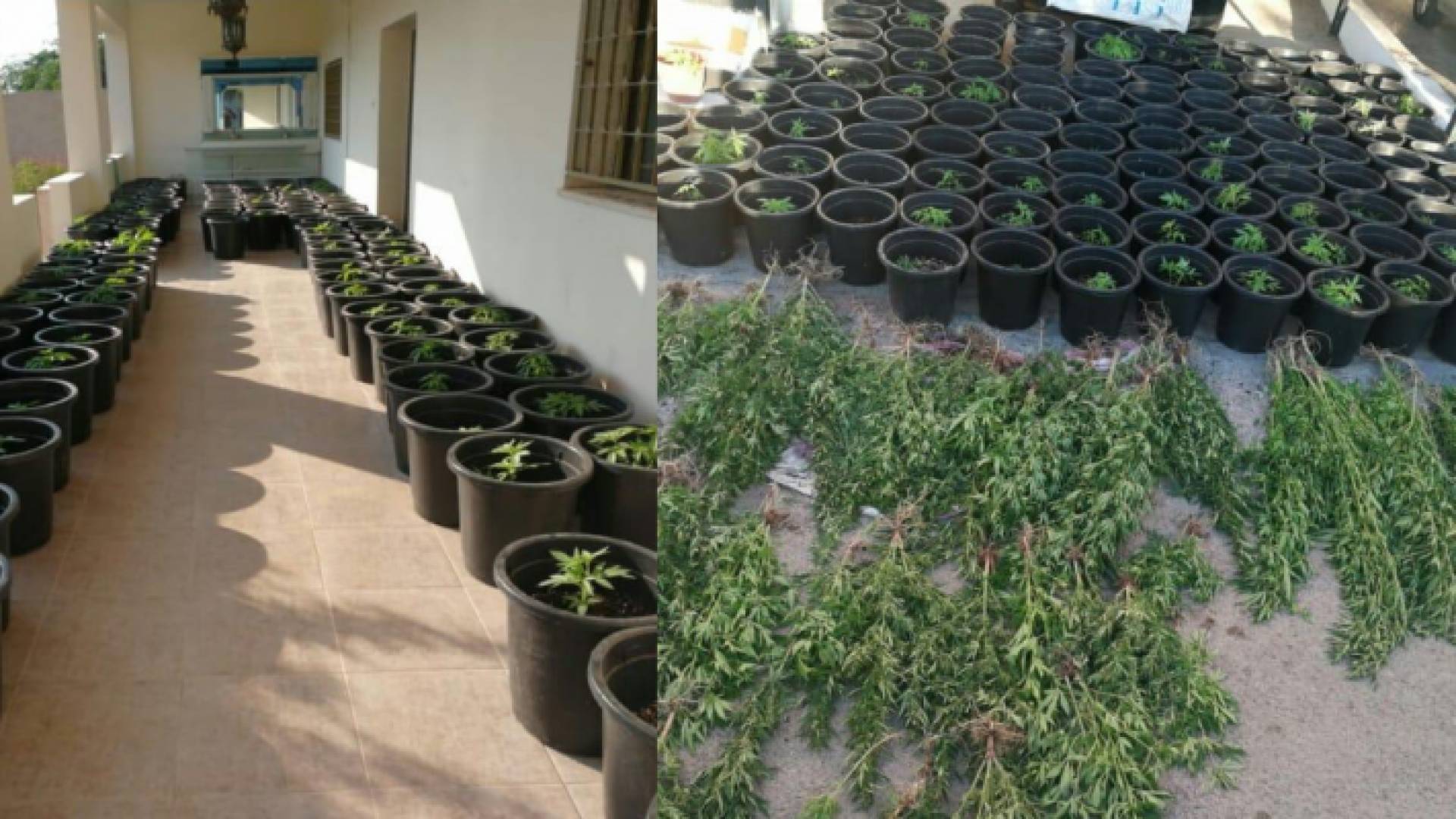 من المضبوطات