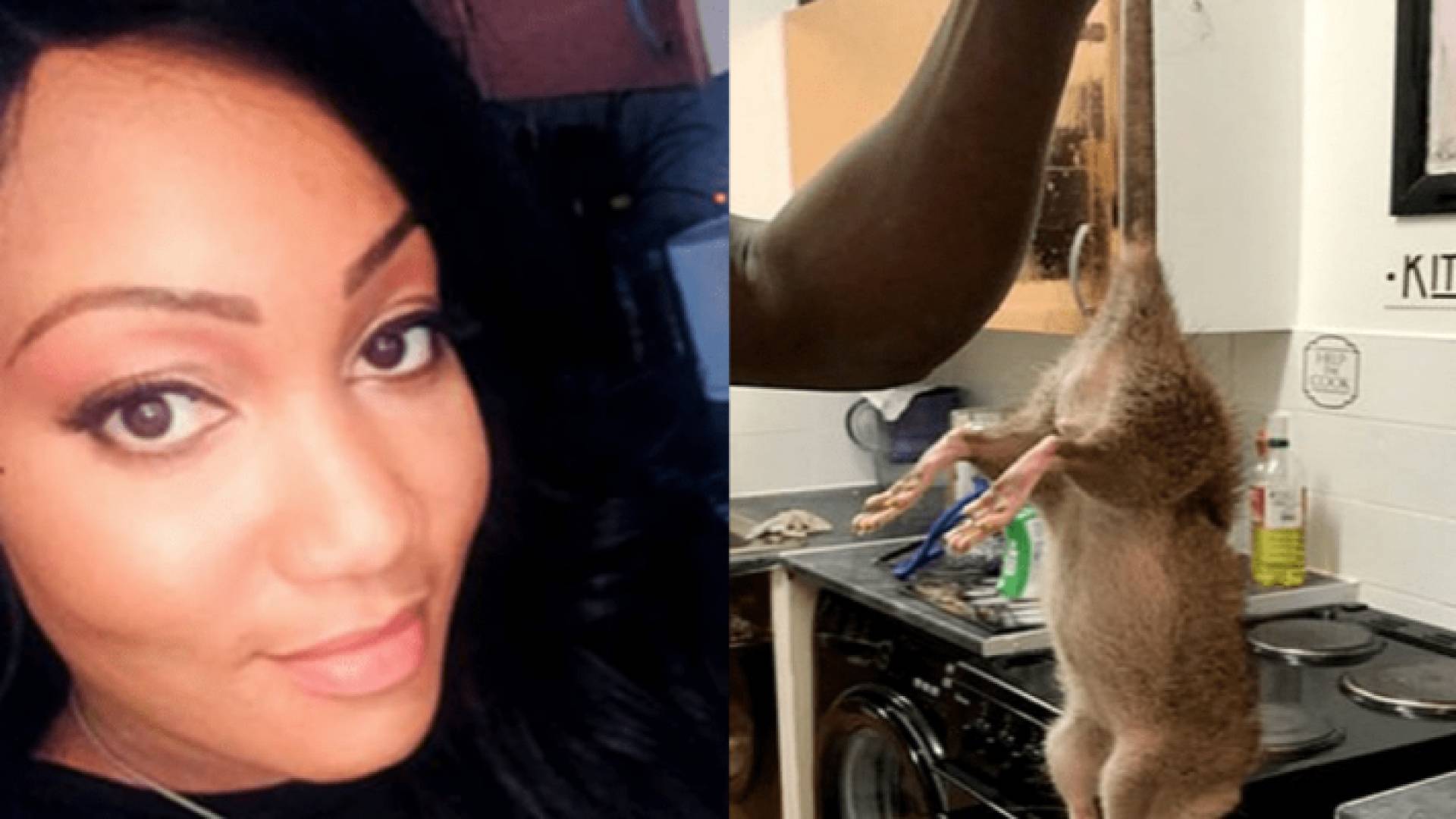 آزيا وايت والفئران