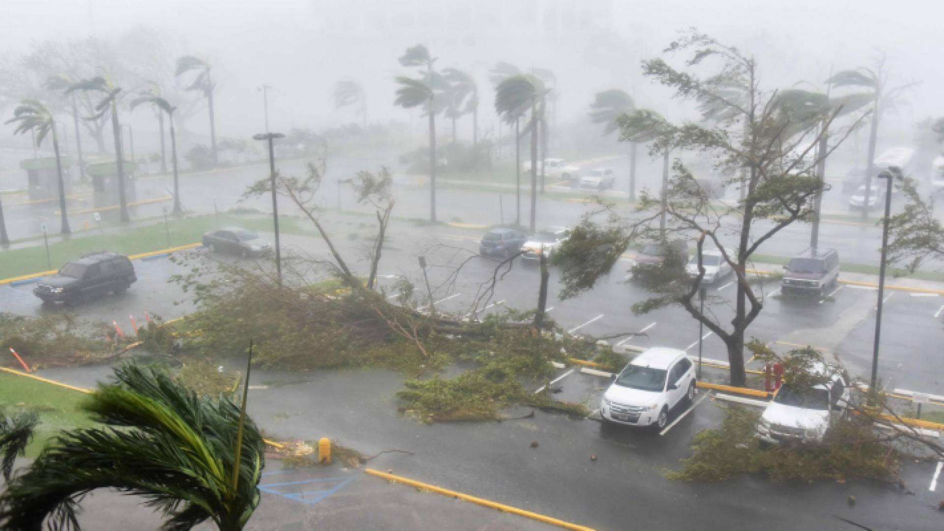 صورة من ولاية كارولاينا