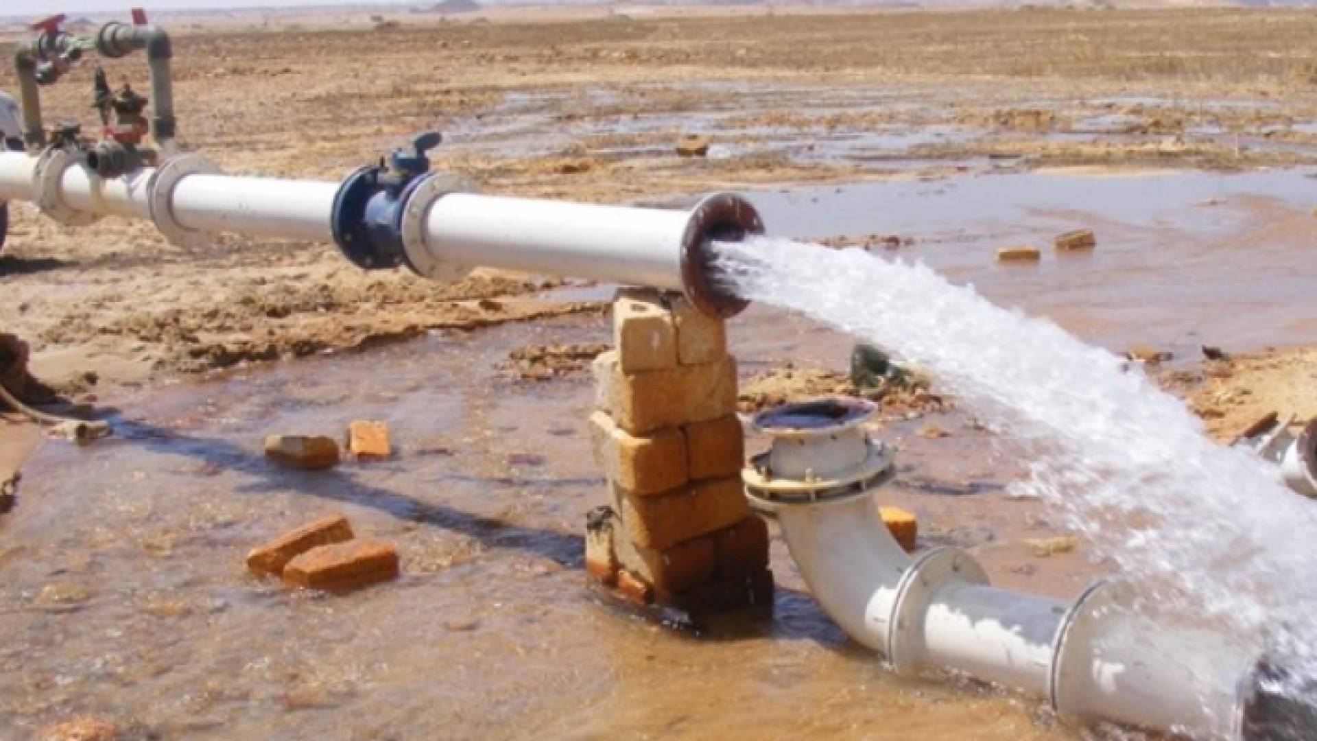 الصورة أرشيفية