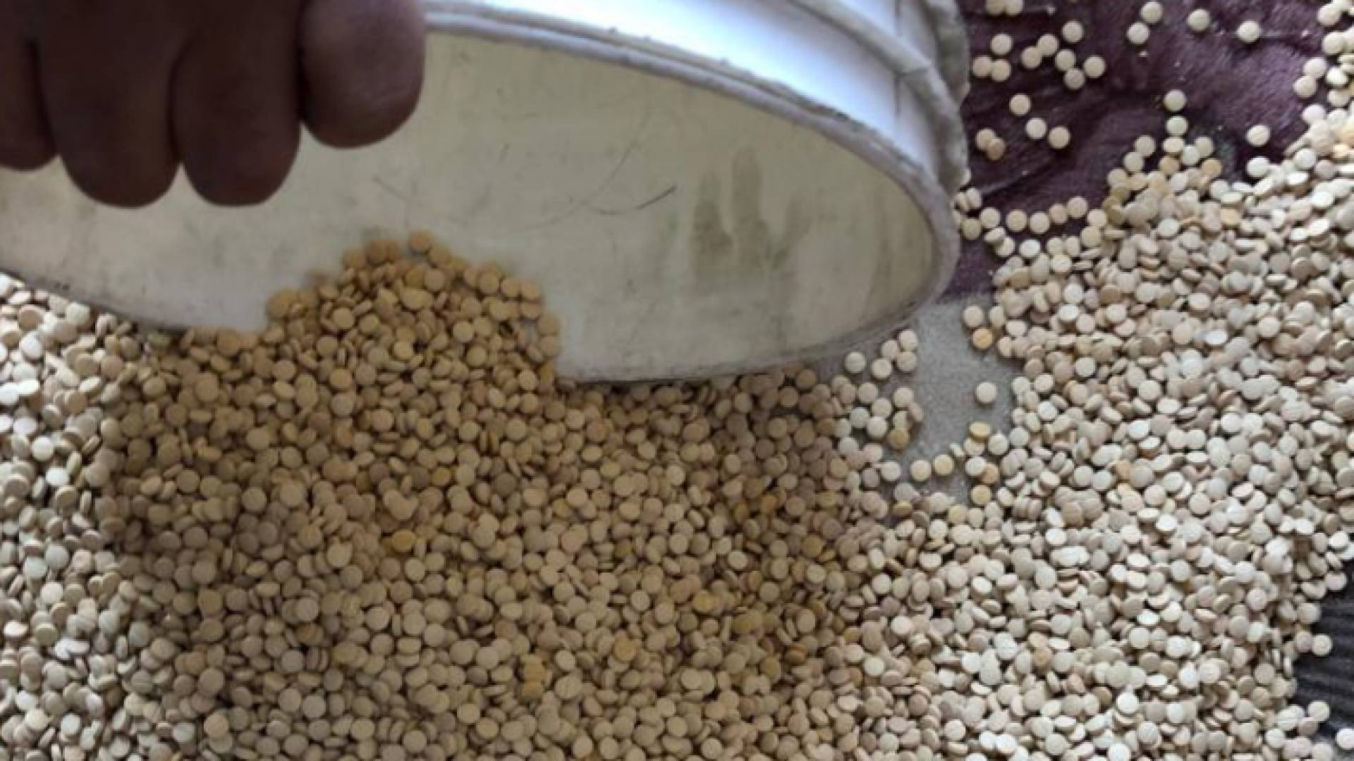 الامن يلقي القبض على اربعة اشخاص حاولوا تهريب نصف مليون حبة مخدرة - صور