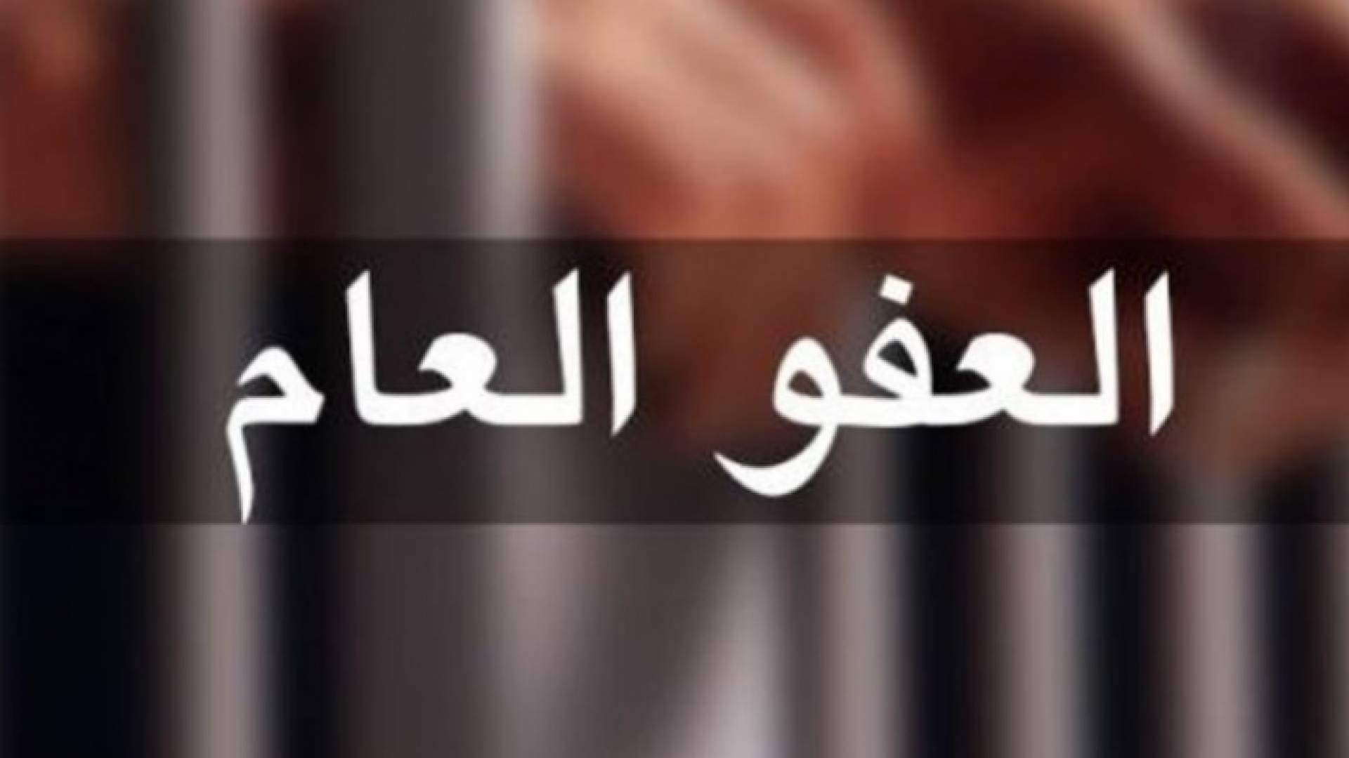 العفو العام