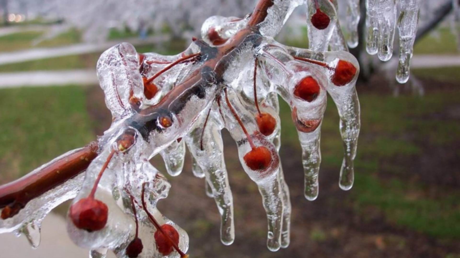 تعبيرية عن الصقيع