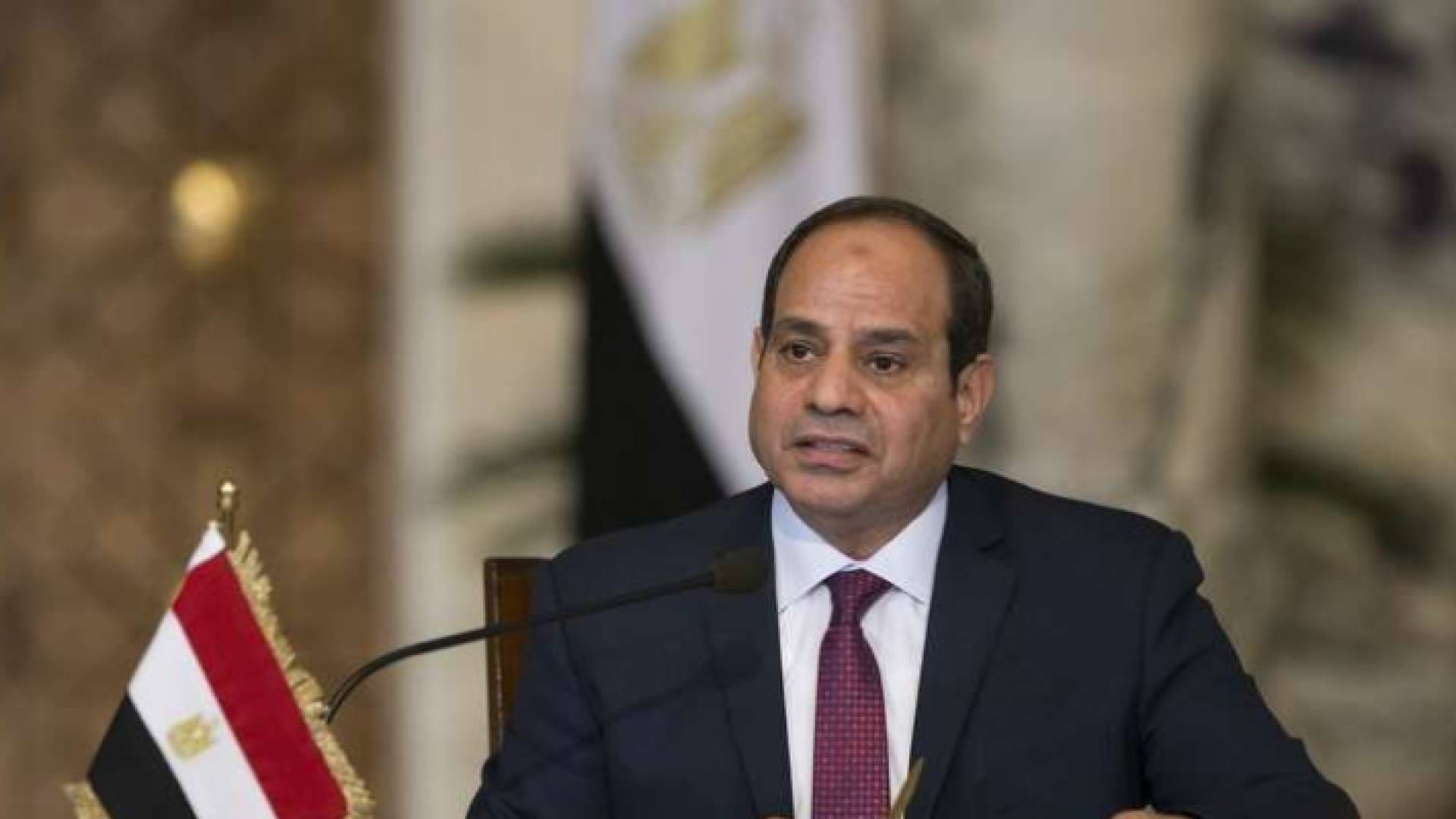 الرئيس المصري عبد الفتاح السيسي - ارشيفية