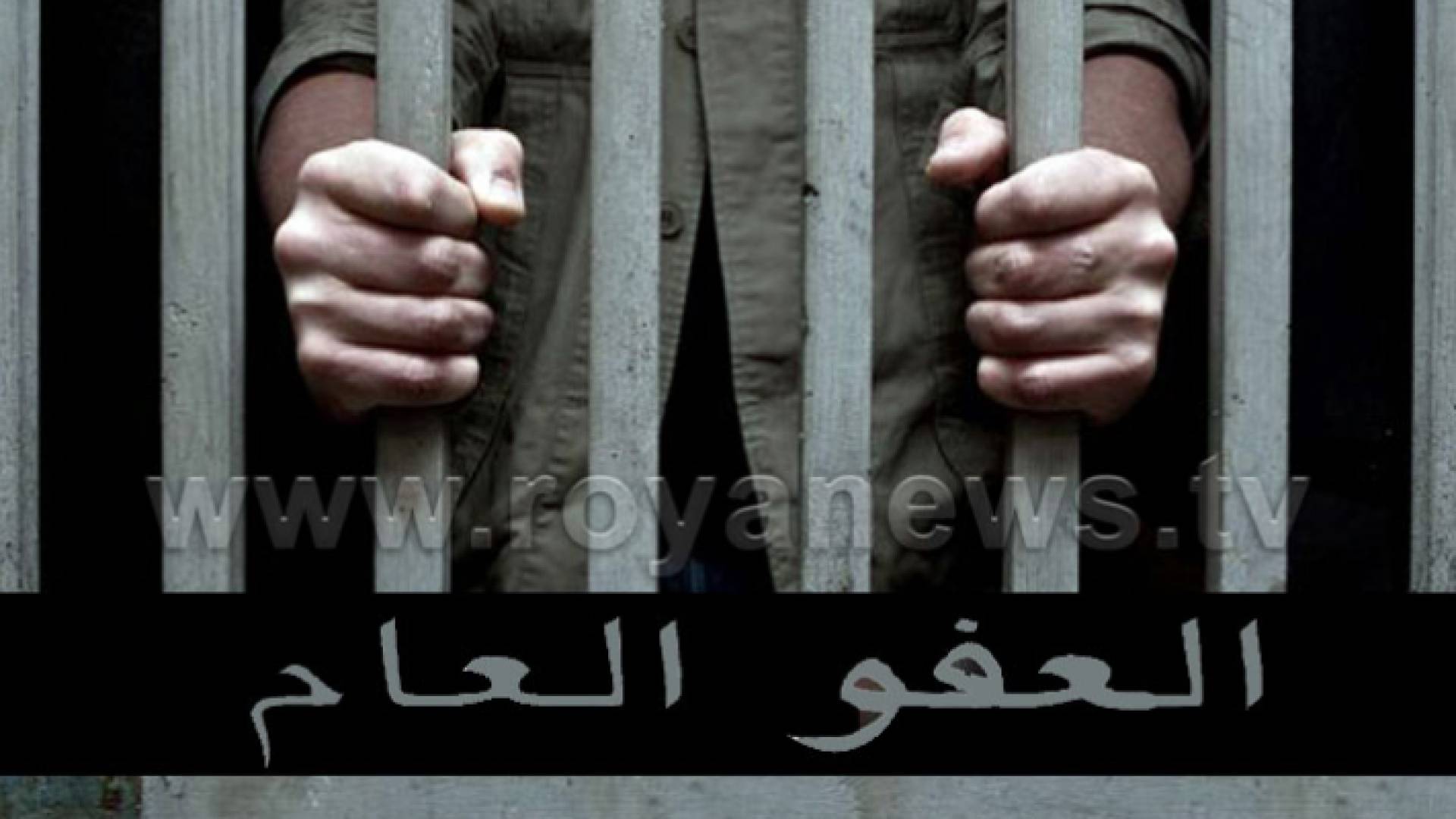 العفو العام
