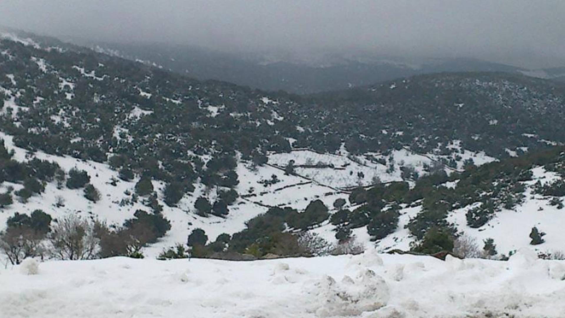 الصورة أرشيفية