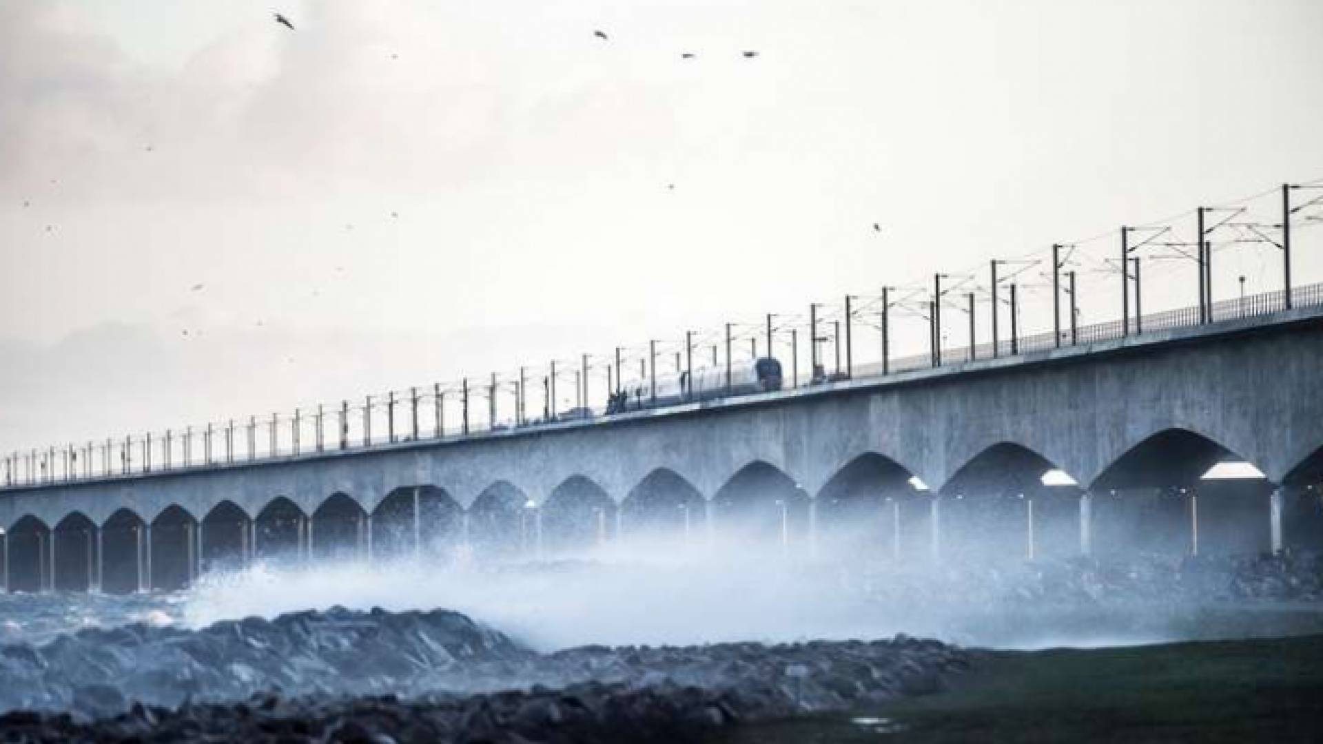 6 قتلى جراء حادث قطار على جسر يصل جزيرتين في الدنمارك