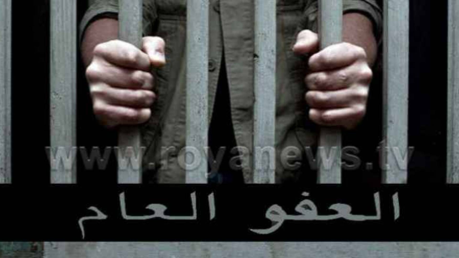 العفو العام