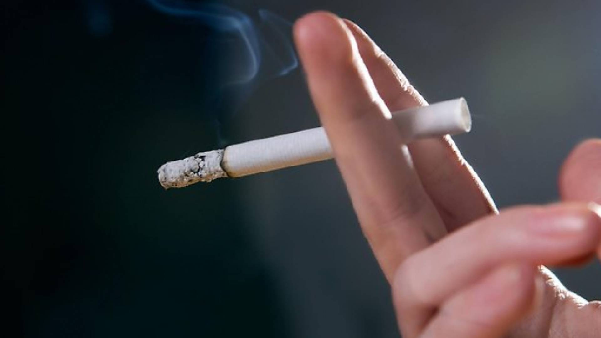 الصورة تعبيرية