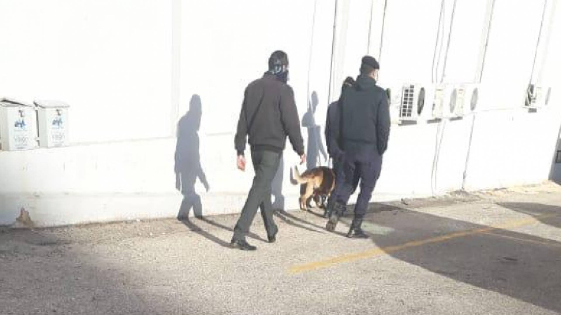 خلال عملية المسح