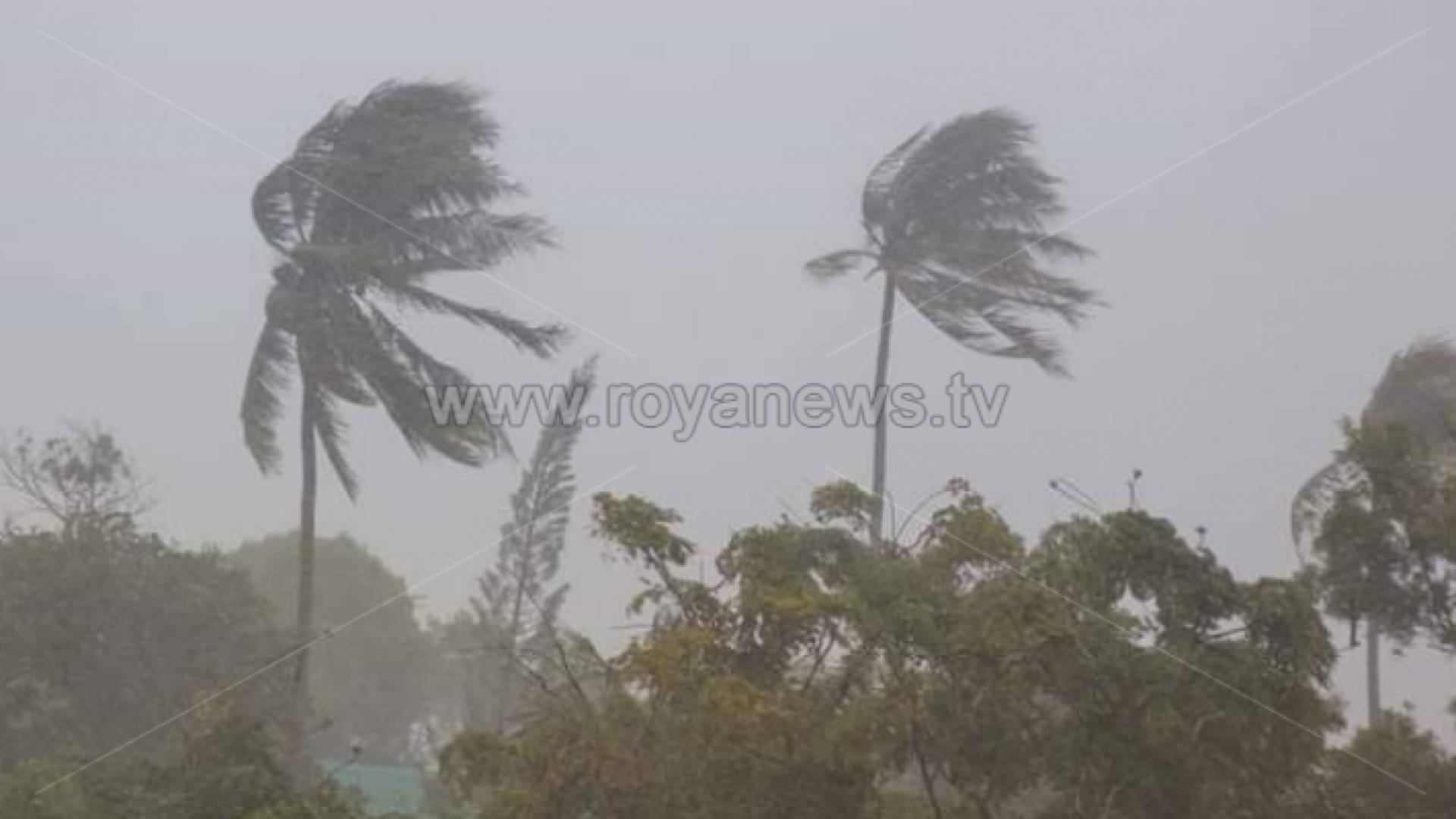 تساقط الثلوج في عجلون