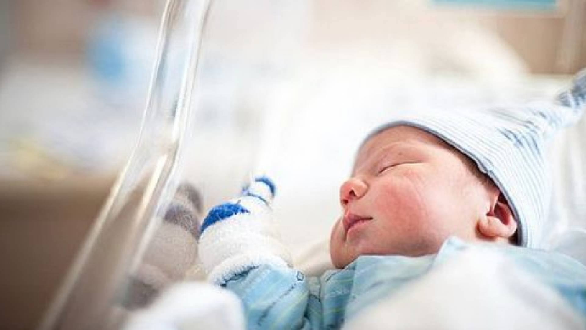 مولود - ارشيفية