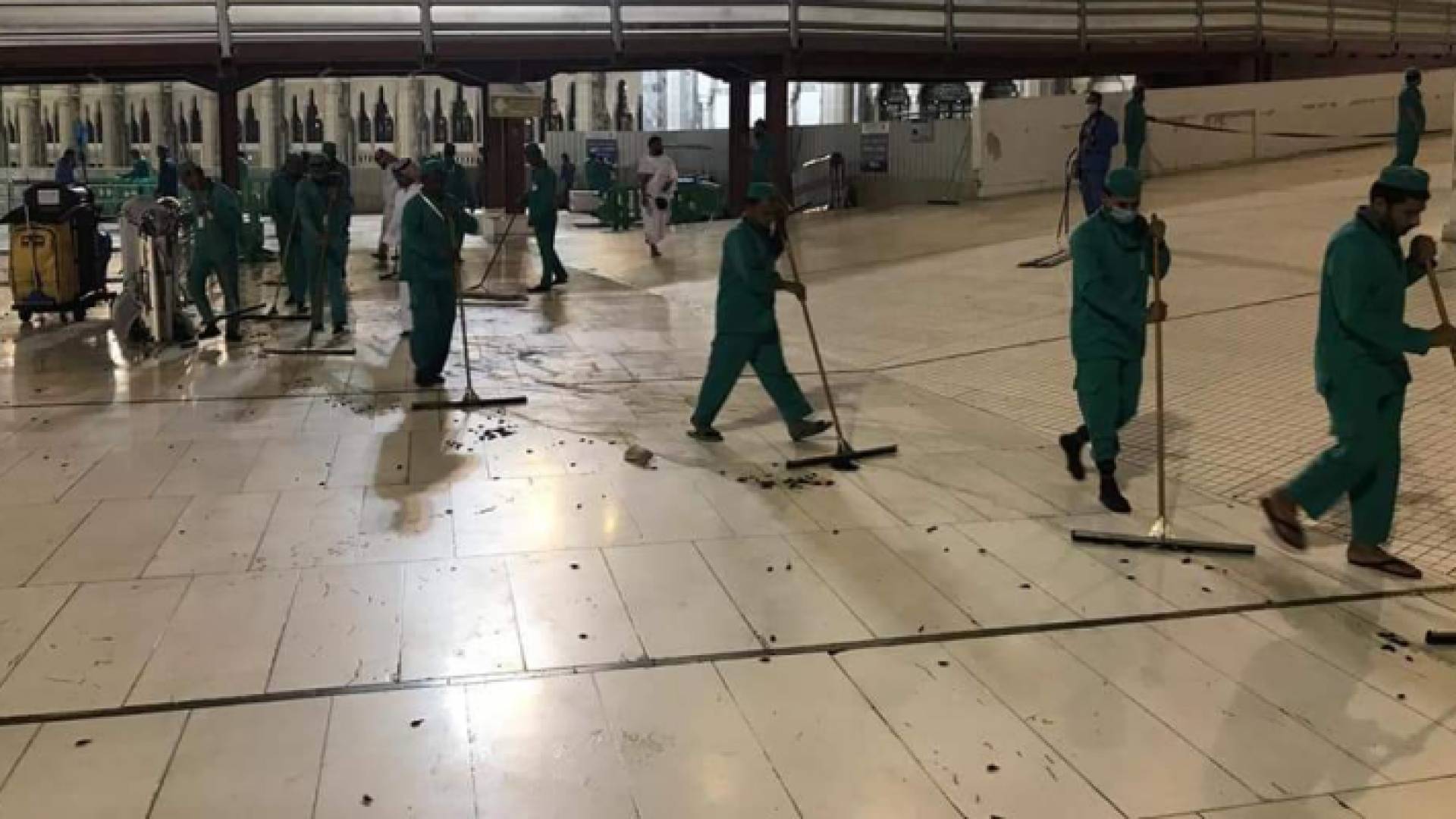 22 فرقة مكونة من 138 فردا و111 معدة يكافحون "صرصور الليل"