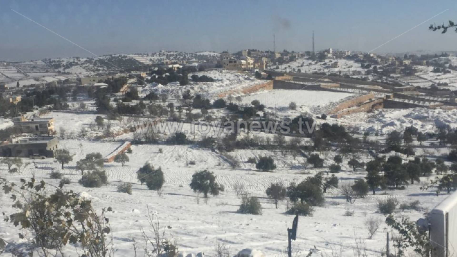ثلوج عجلون صباح الاربعاء - مراسل رؤيا