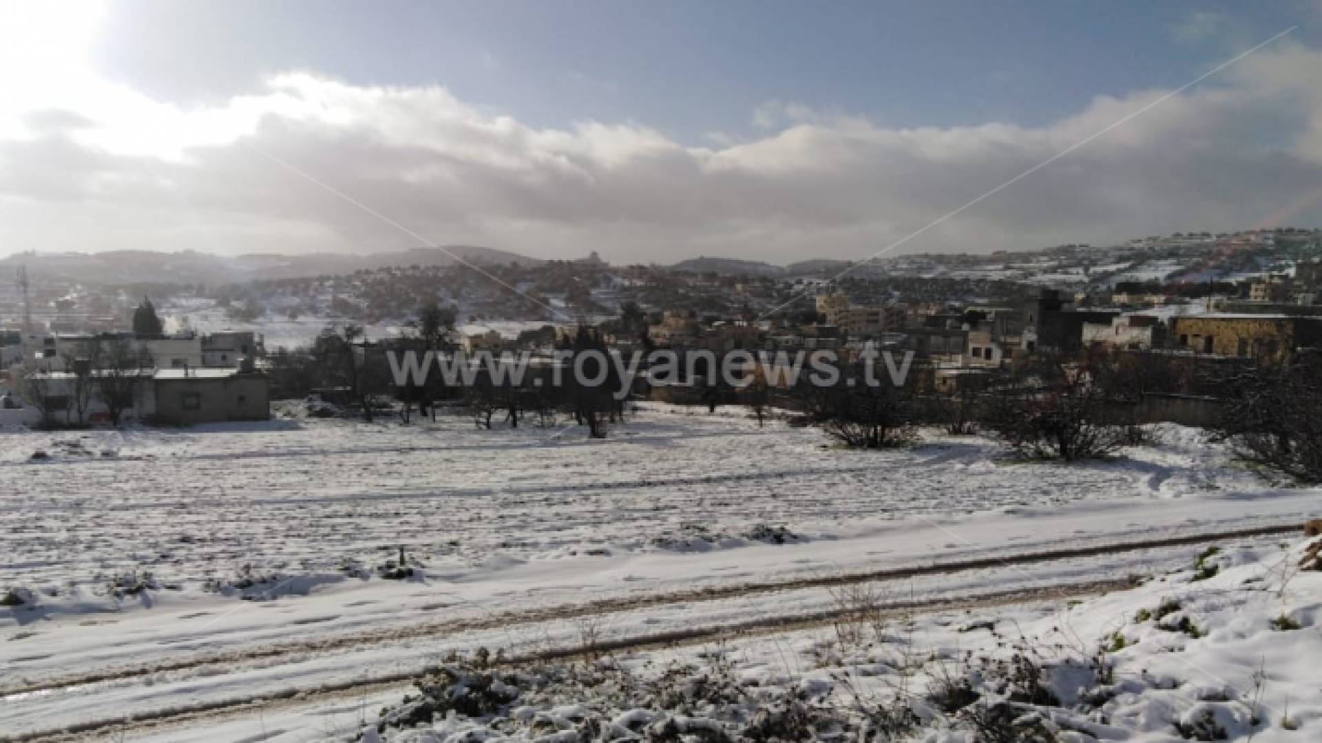 ثلوج عجلون صباح الاربعاء - مراسل رؤيا