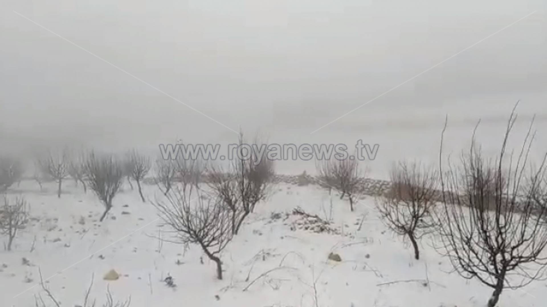 الثلوج خلال المنخفض الاخير