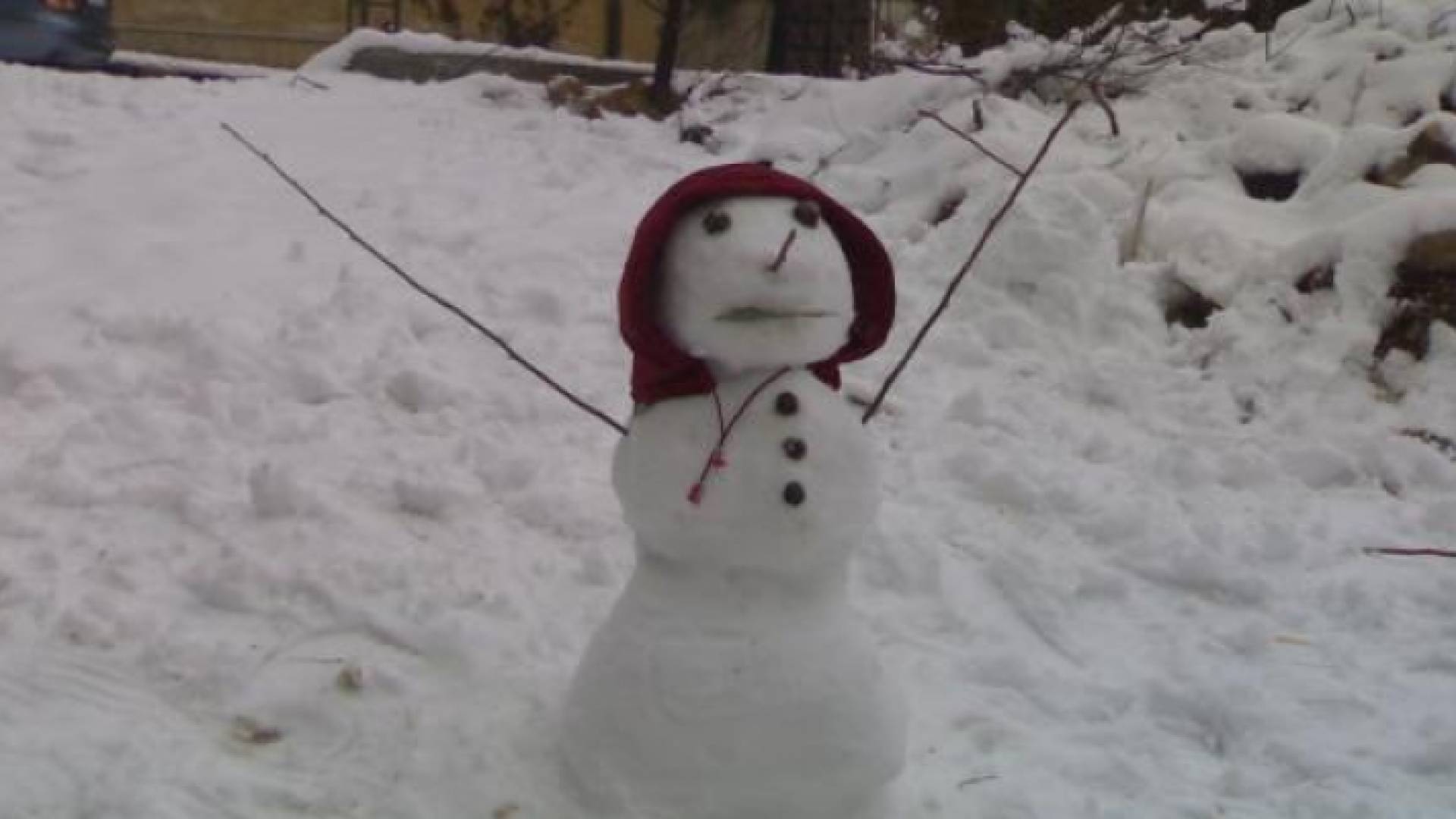 الصورة أرشيفية