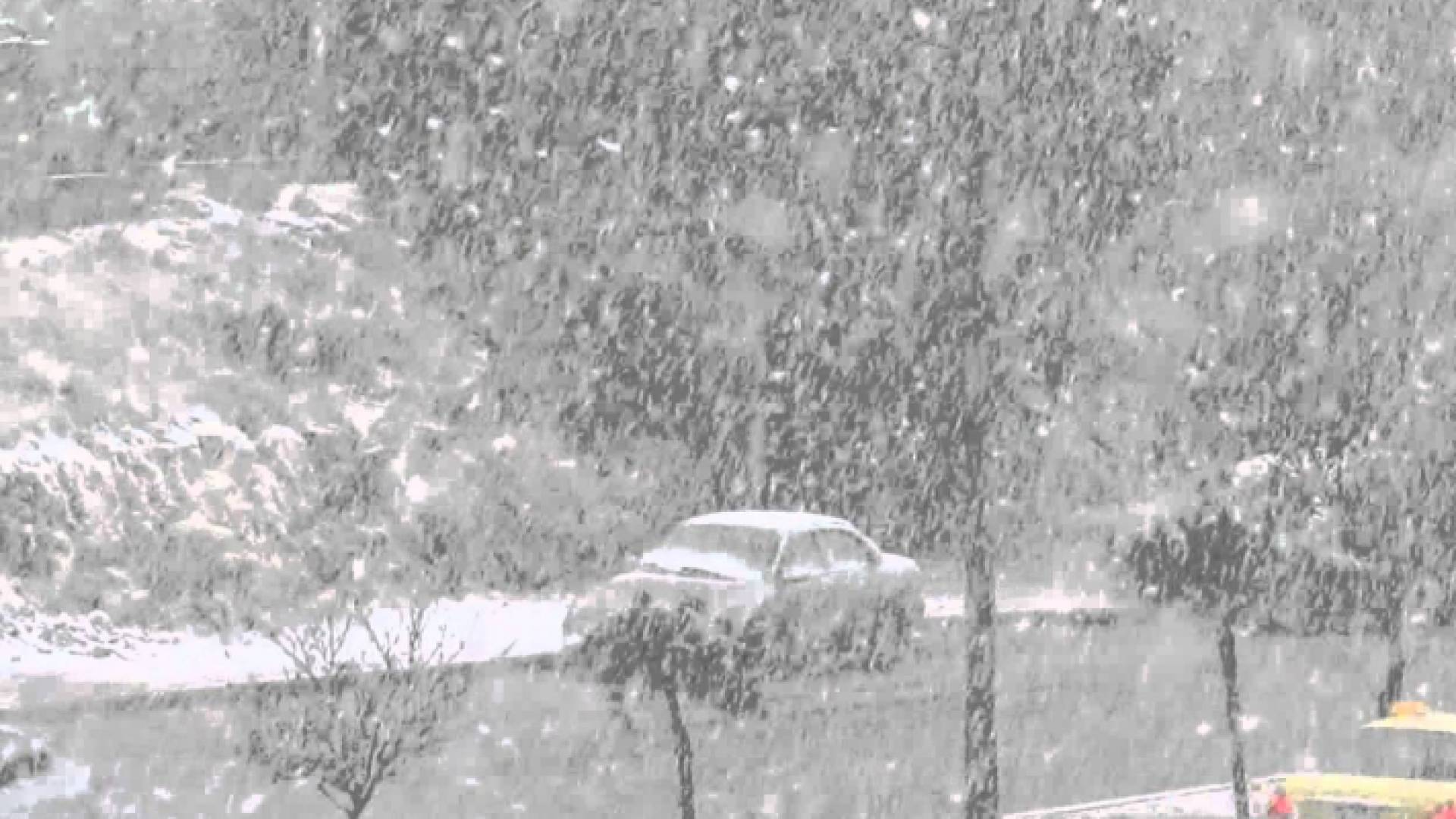 الصورة أرشيفية