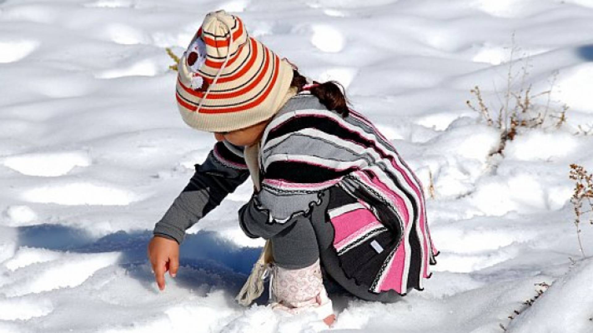الصورة أرشيفية