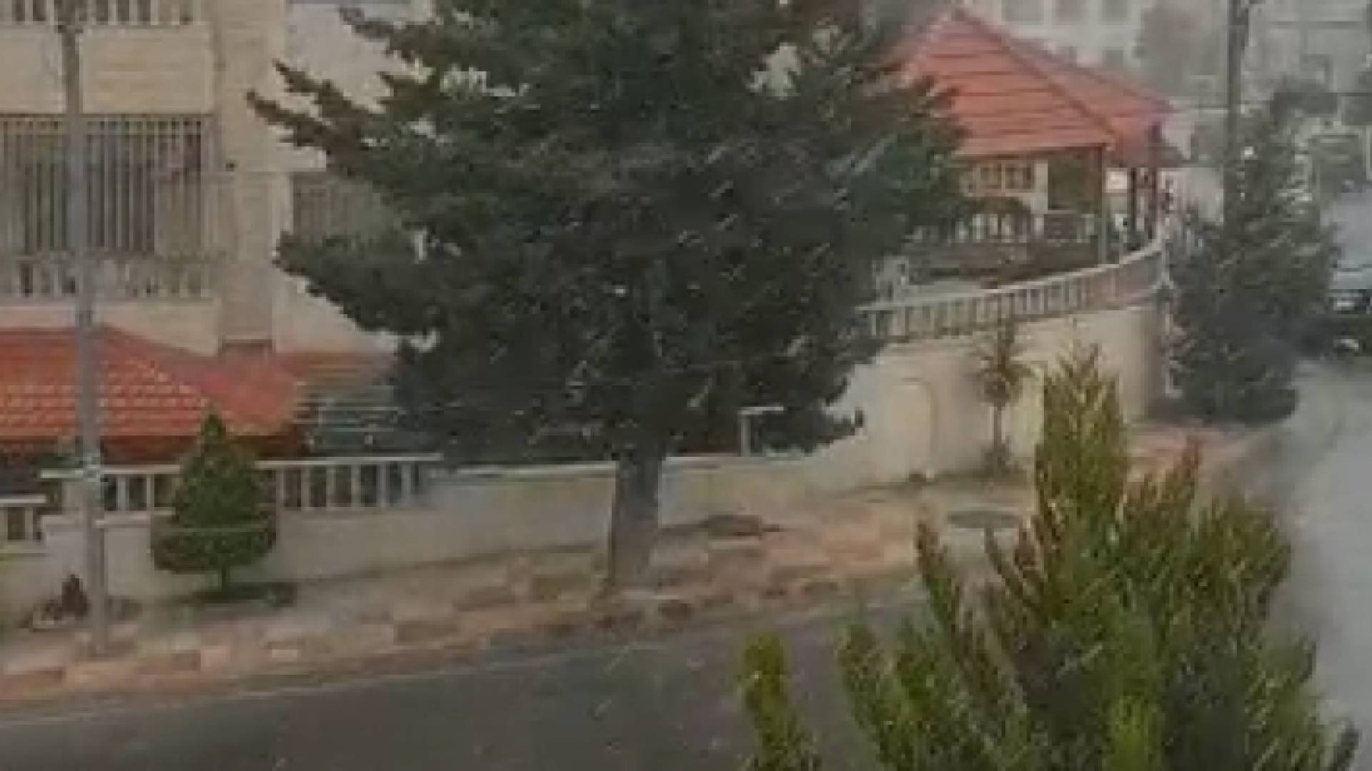 صورة من الفيديو