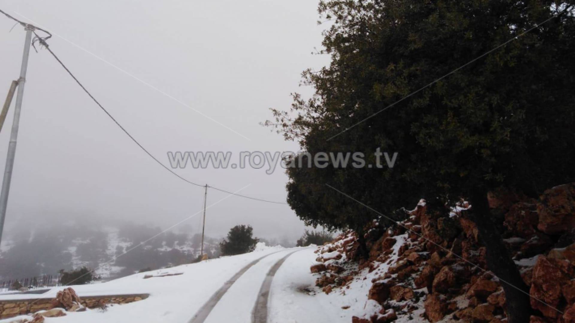 ثلوج عجلون صباح الخميس - مراسل ر ؤيا