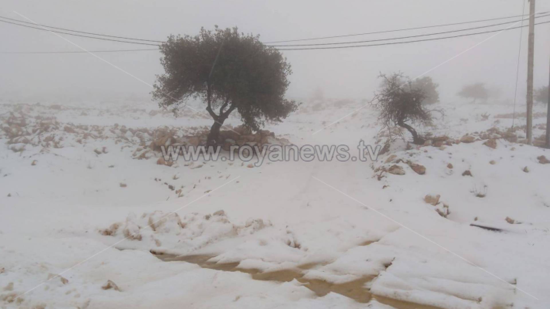 تراكم الثلوج في ضاحية الحسين قرب شارع مكة بالعاصمة عمان
