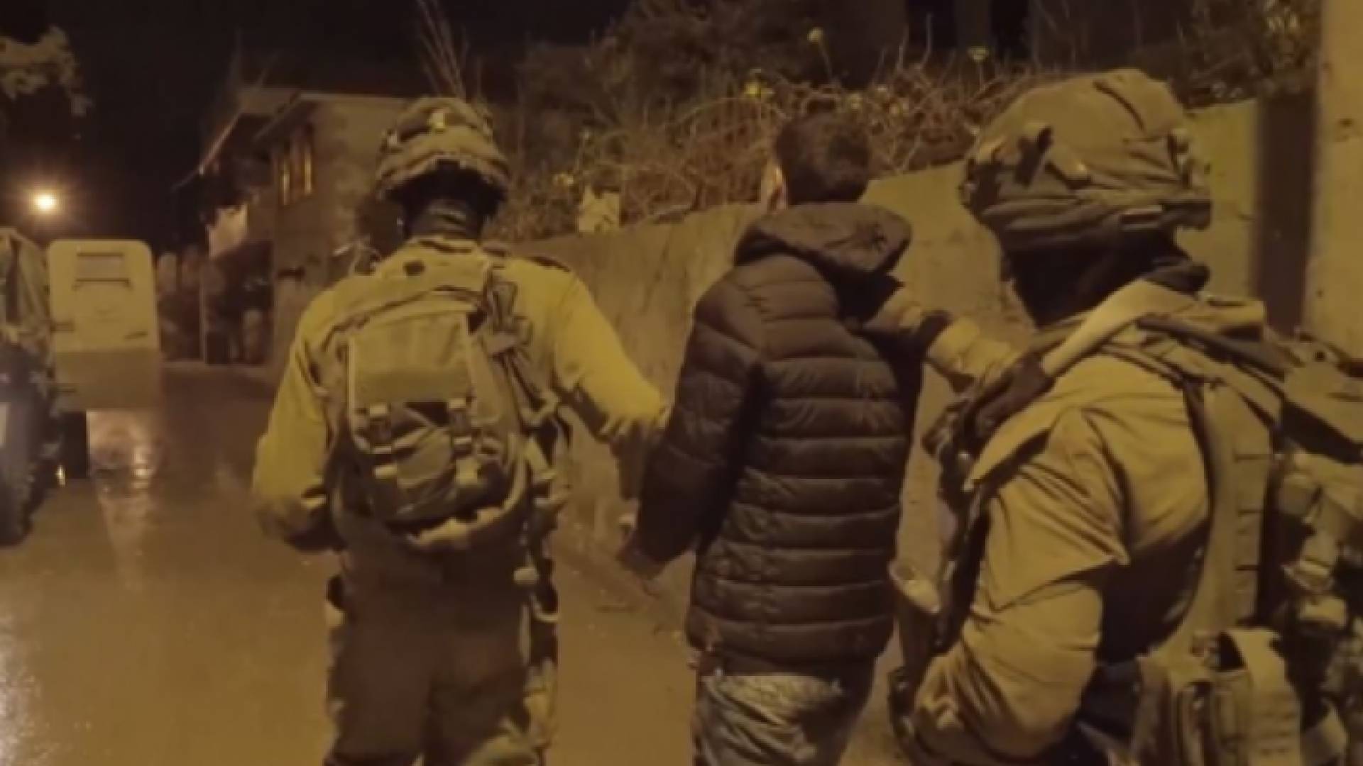 ارشيفية