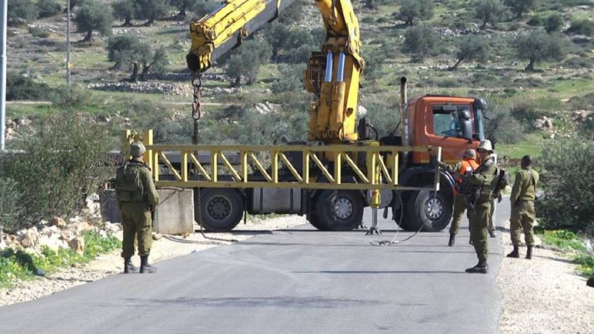 ارشيفية