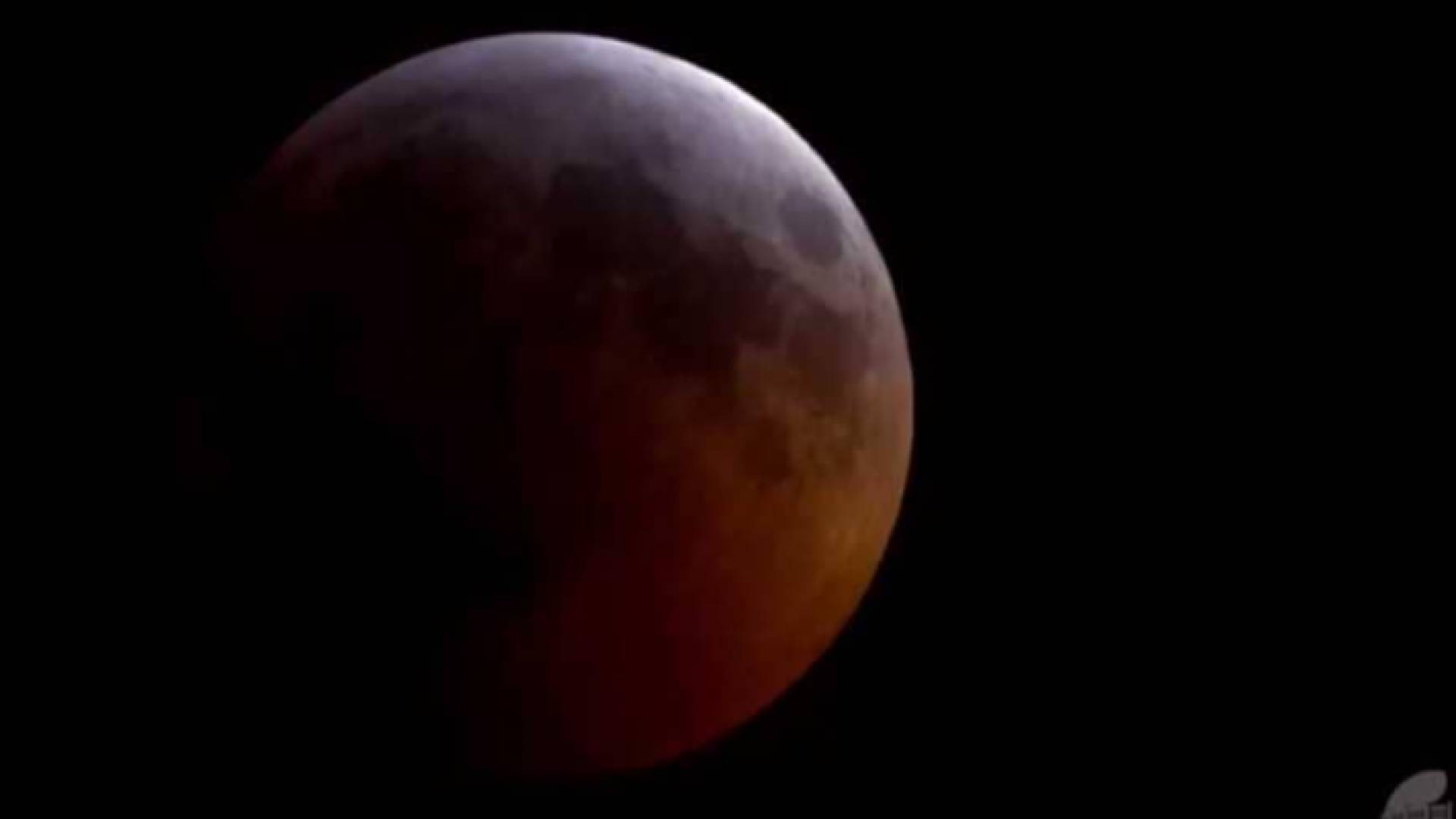 قمر الذئب الدامي