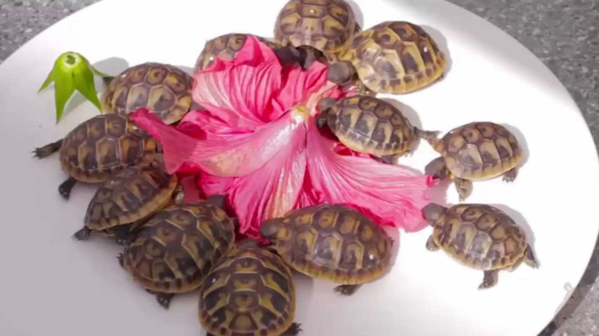 الصورة تعبيرية