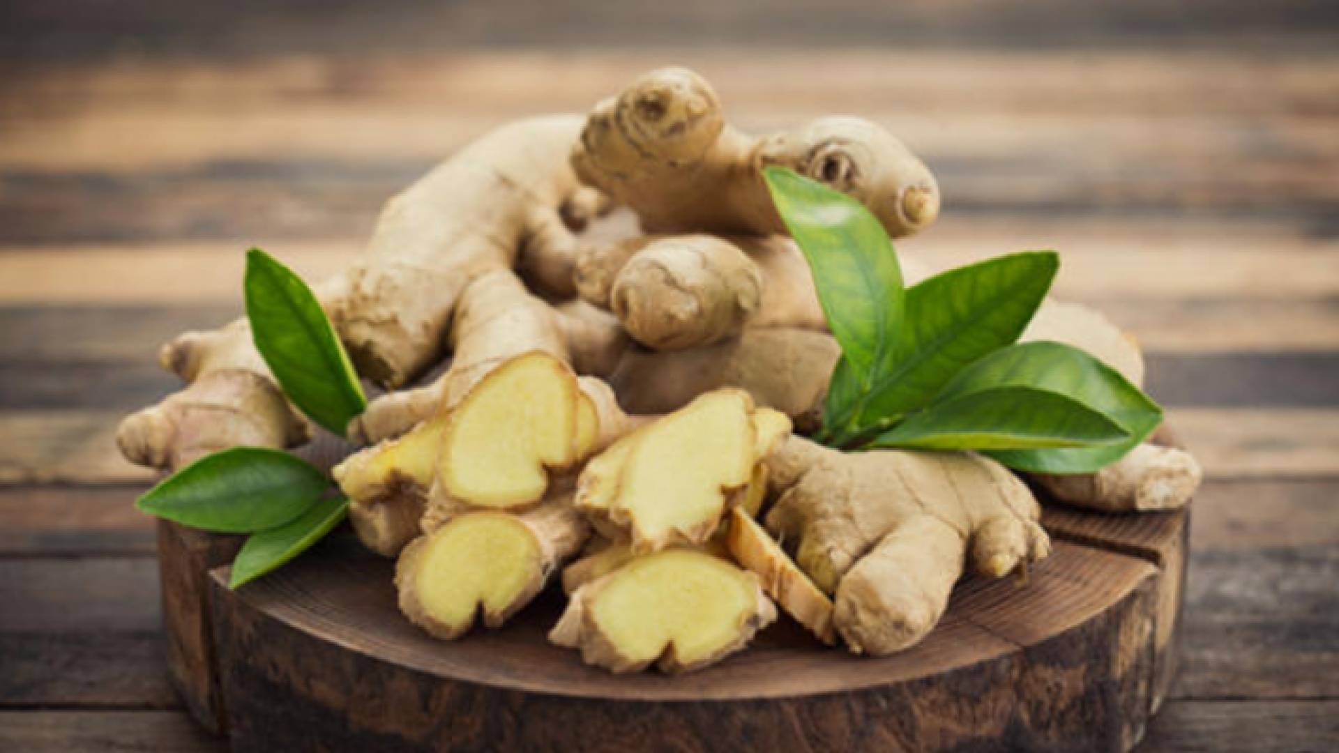 نبتة الزنجبيل