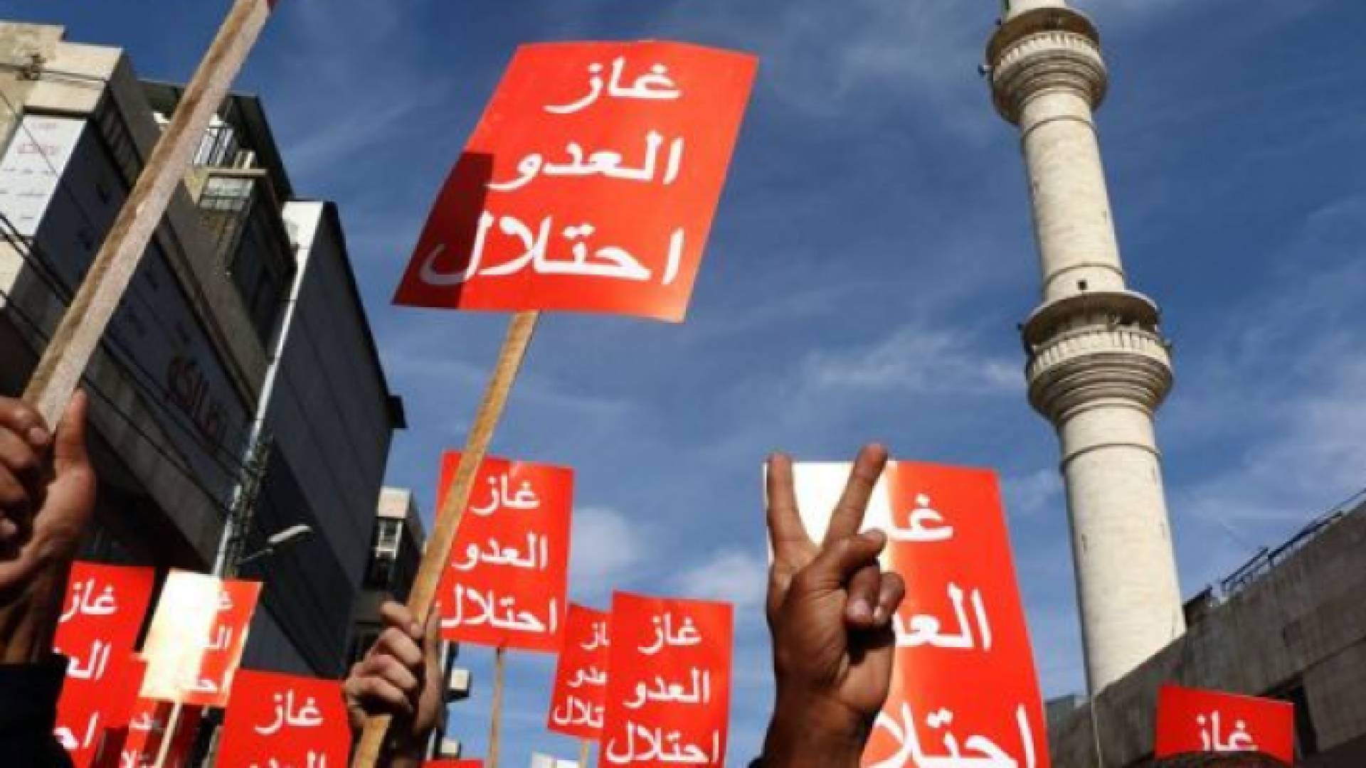 ارشيفية