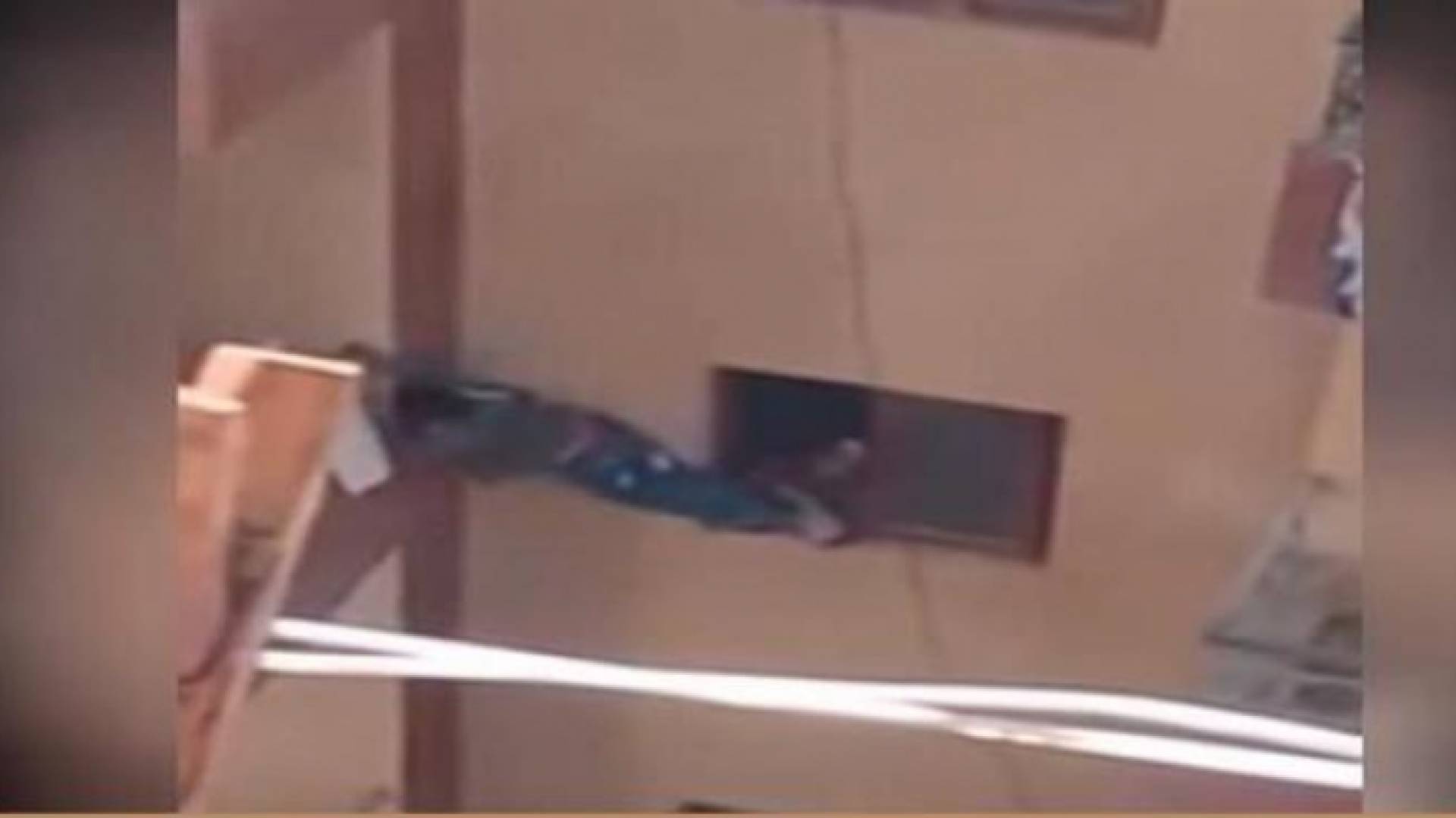 صورة من الفيديو