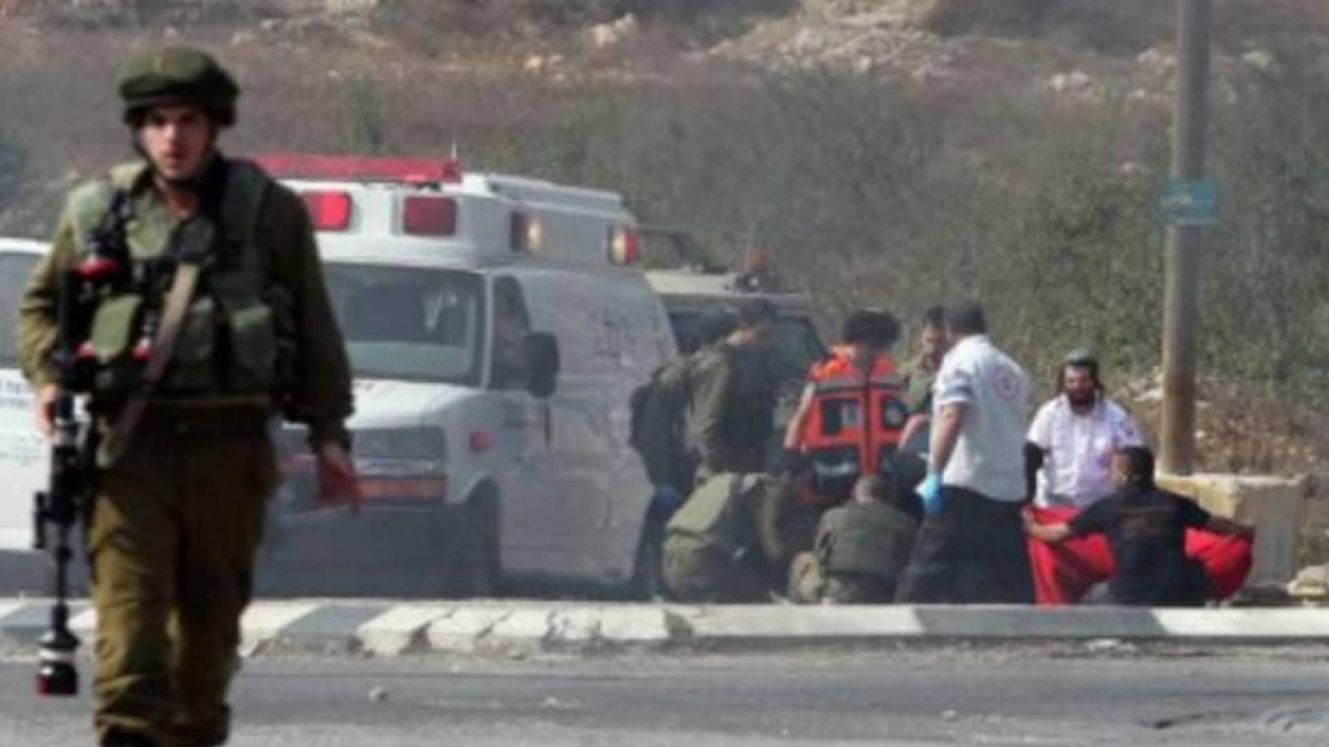 ارشيفية