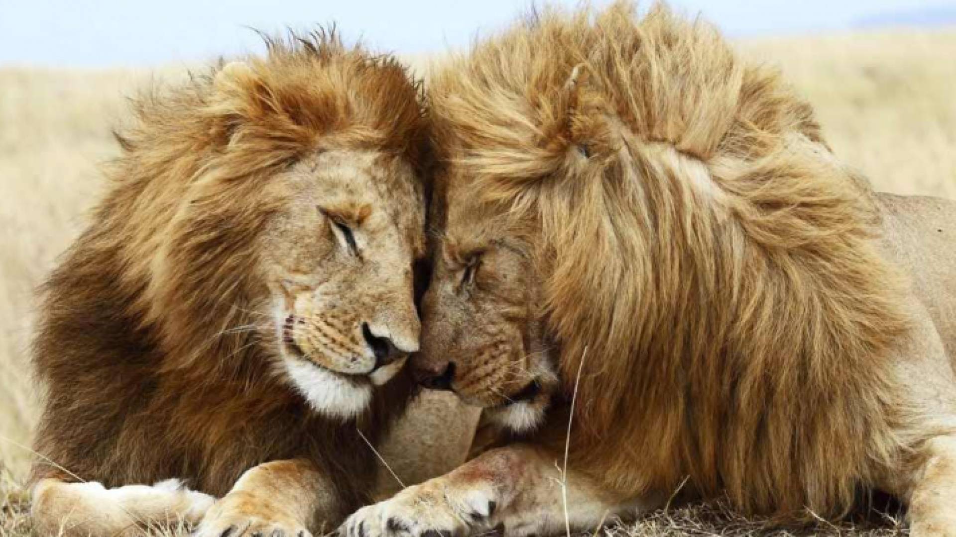 الصورة أرشيفية