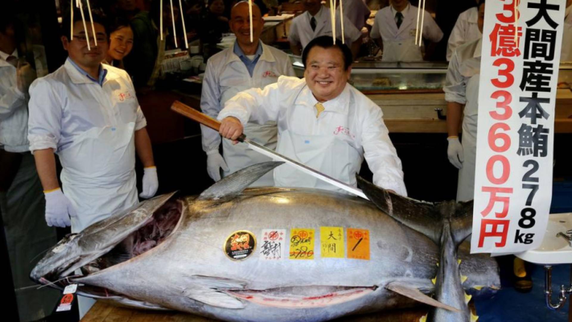 سمكة التونة ذات الزعانف الزرقاء التي بيعت بمبلغ 33.6 مليون ين