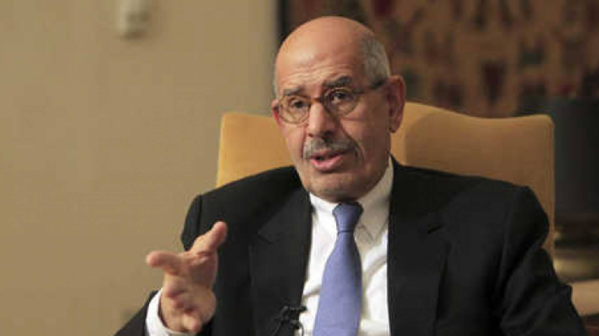 البرادعي - ارشيفية